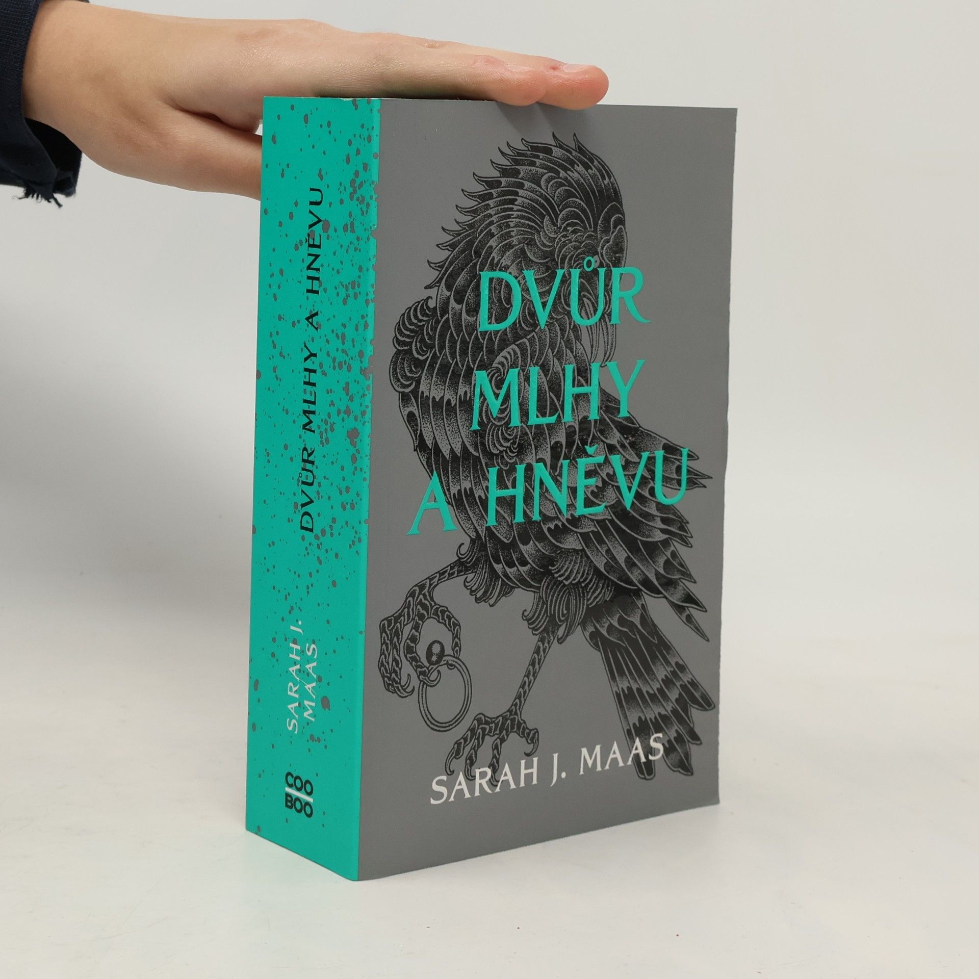 Sarah J. Maas Dvůr mlhy a hněvu