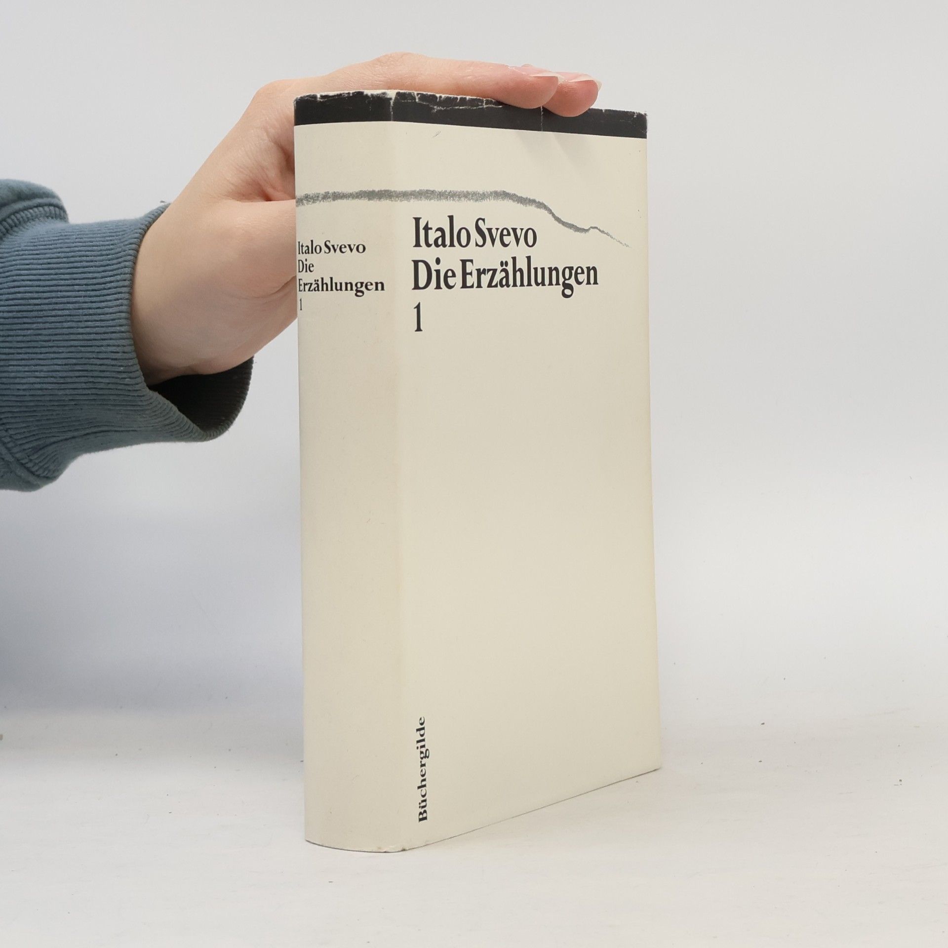 Italo Svevo Die Erzählungen 1