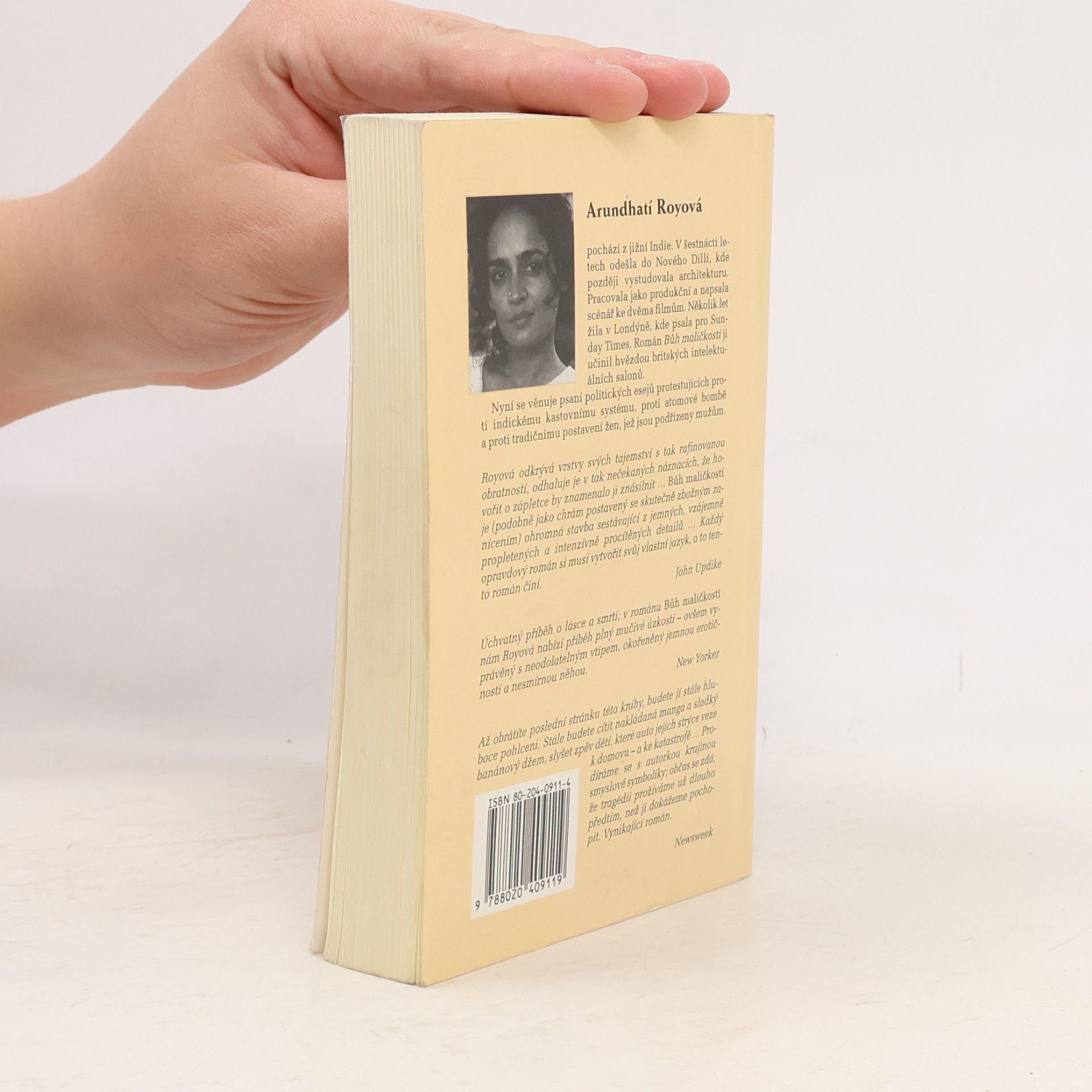 Arundhati Roy Bůh maličkostí