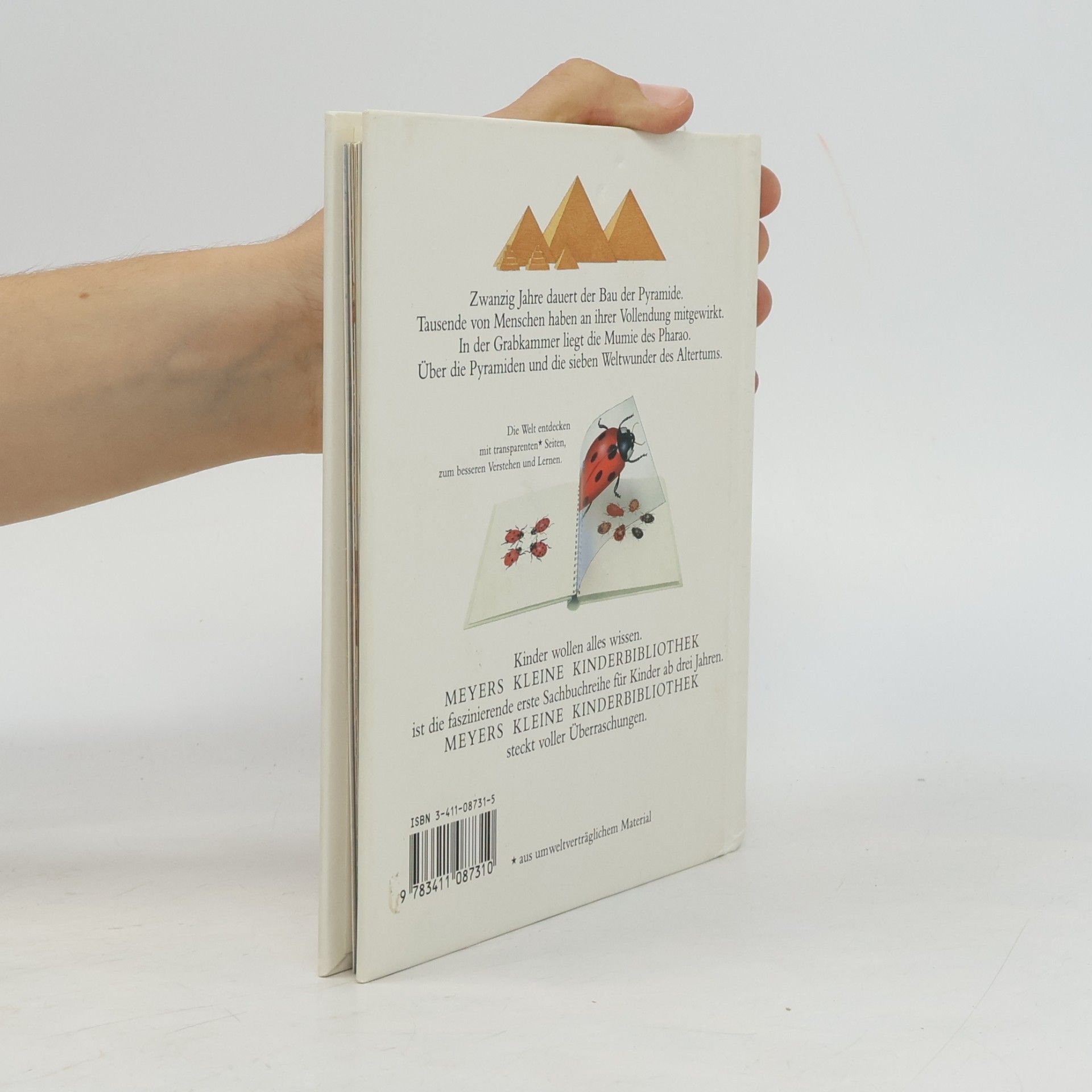 Autorenkollektiv Die Pyramide. Die kleine Kinderbibliothek