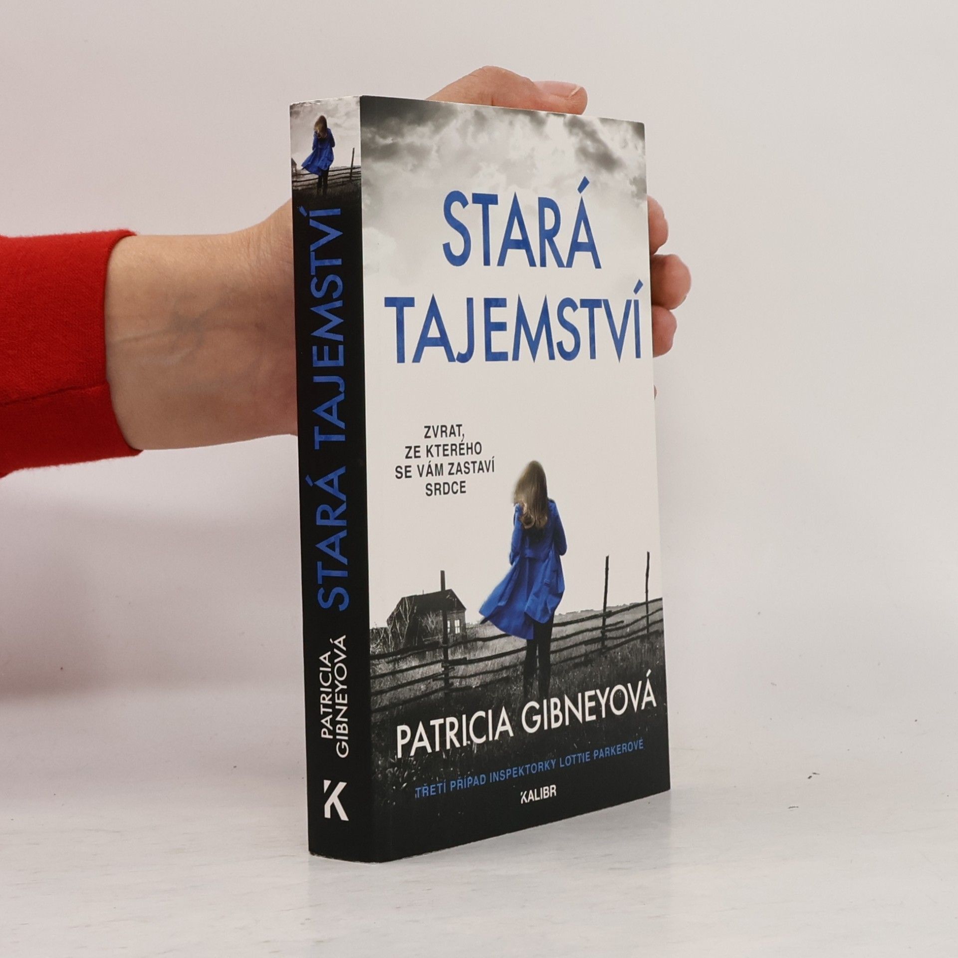 Patricia Gibney Stará tajemství