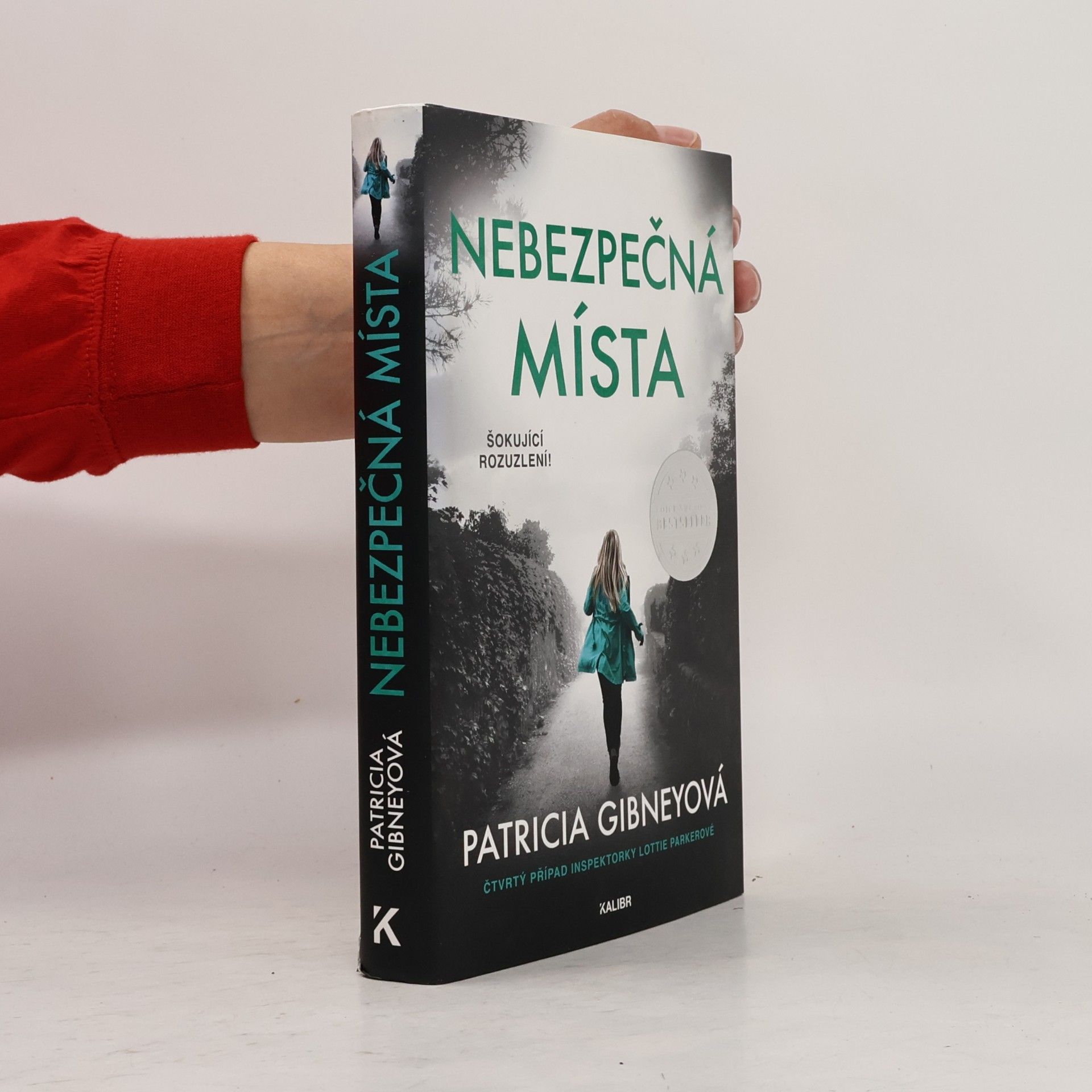 Patricia Gibney Nebezpečná místa