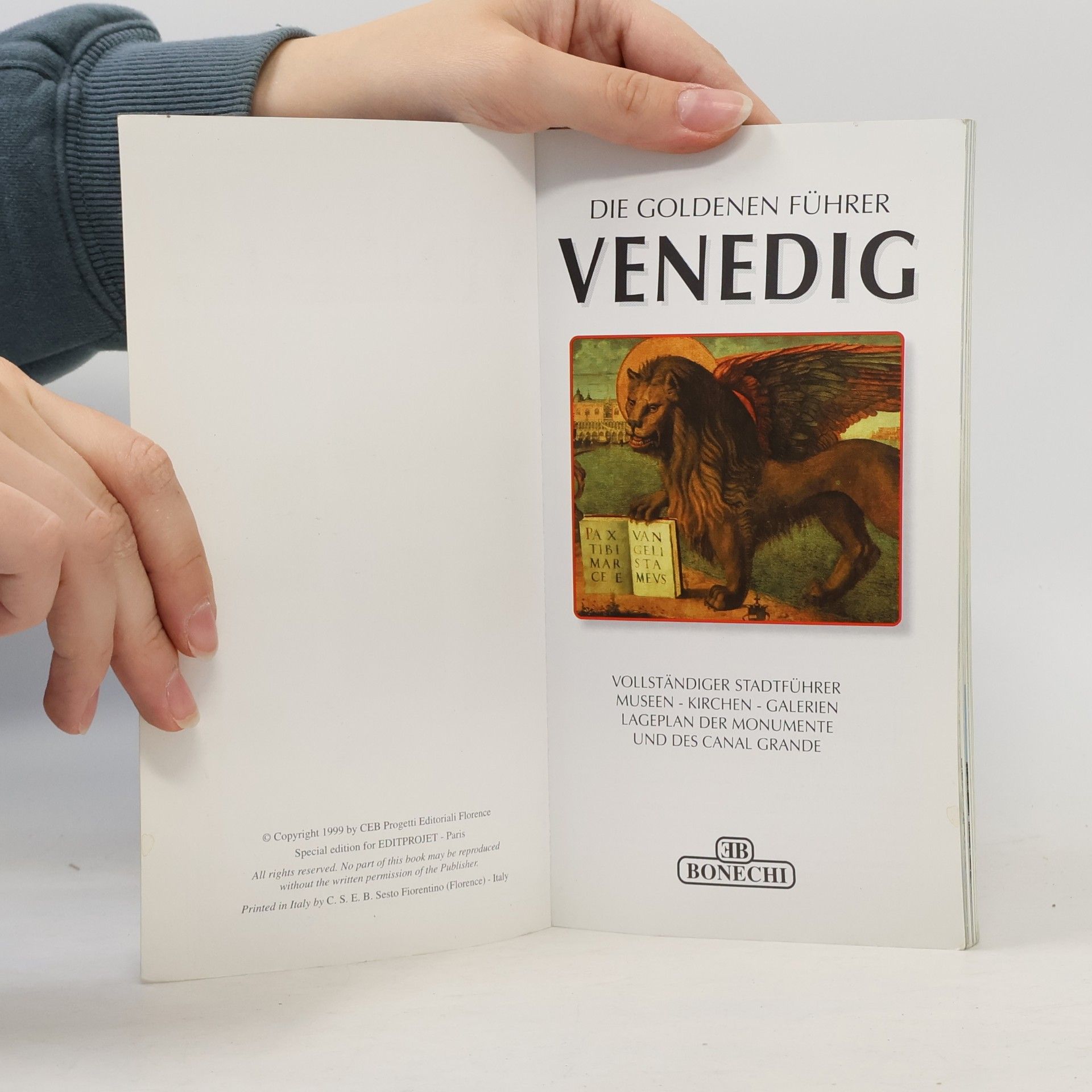 kolektiv Venedig