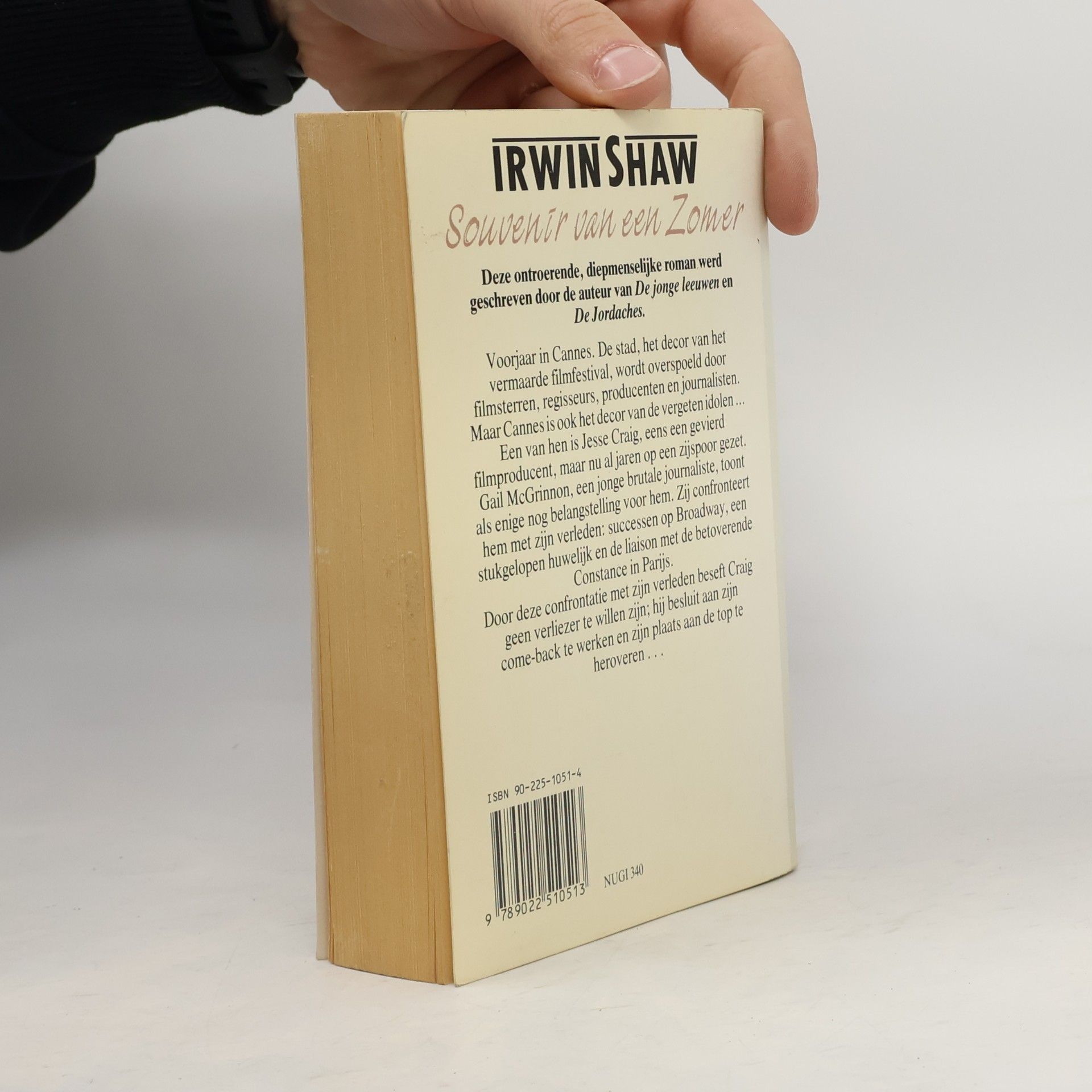 Irwin Shaw Souvenir van een Zomer