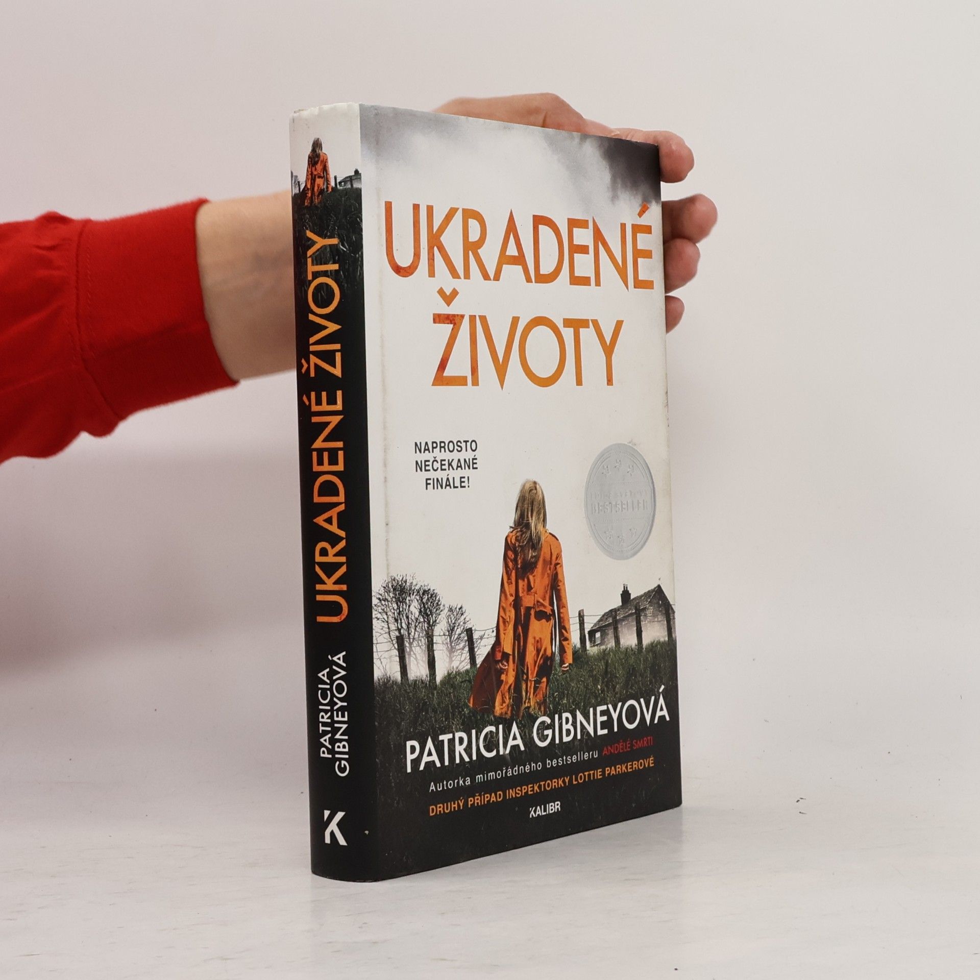 Patricia Gibney Ukradené životy