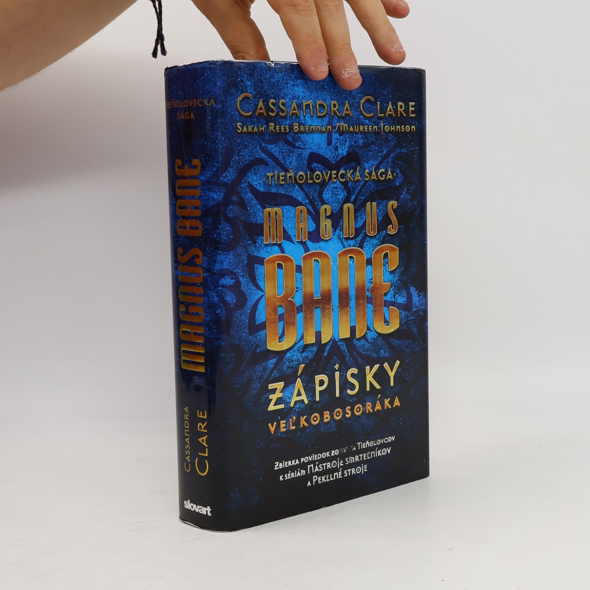Cassandra Clare Magnus Bane - Zápisky veľkobosoráka