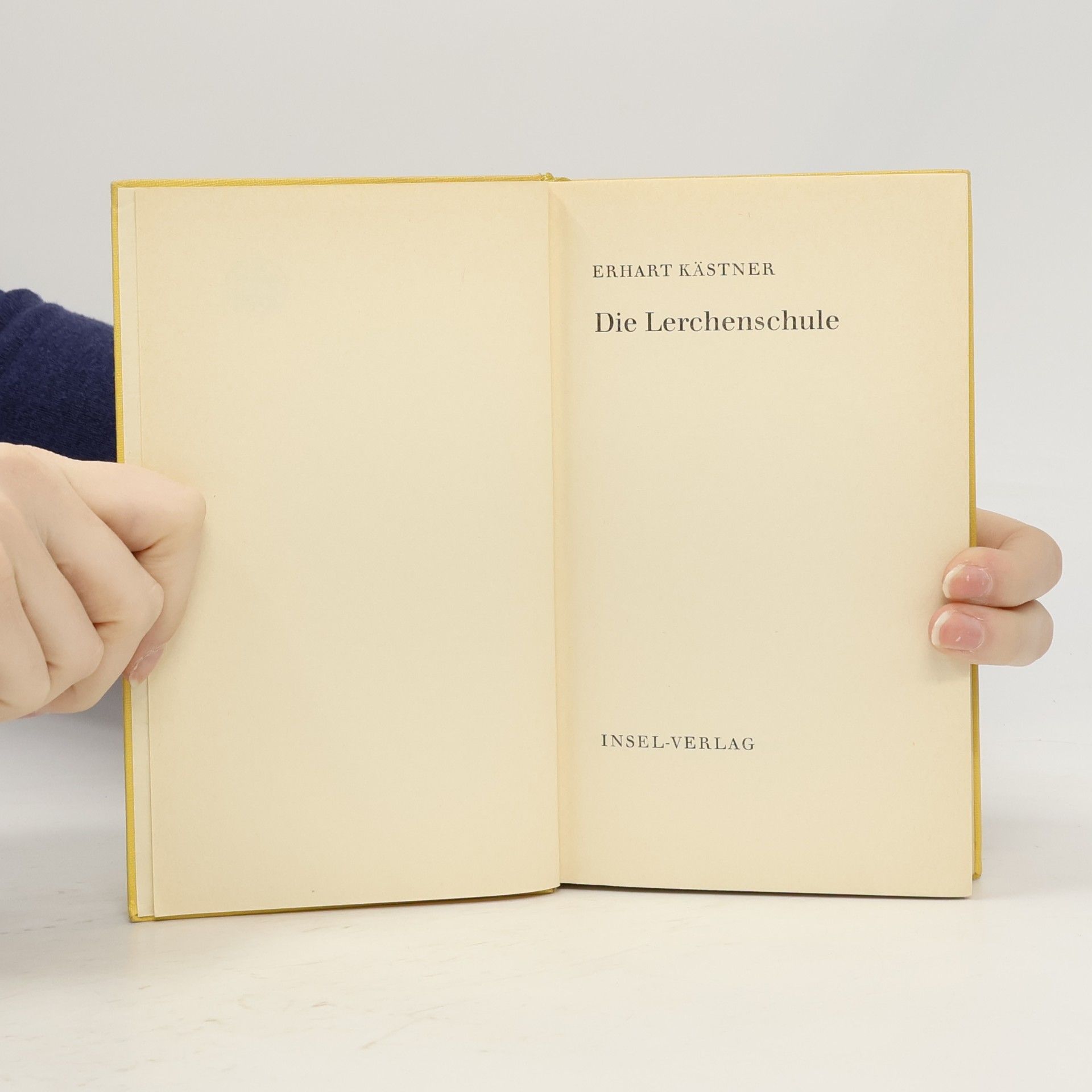 Erhart Kästner Die Lerchenschule