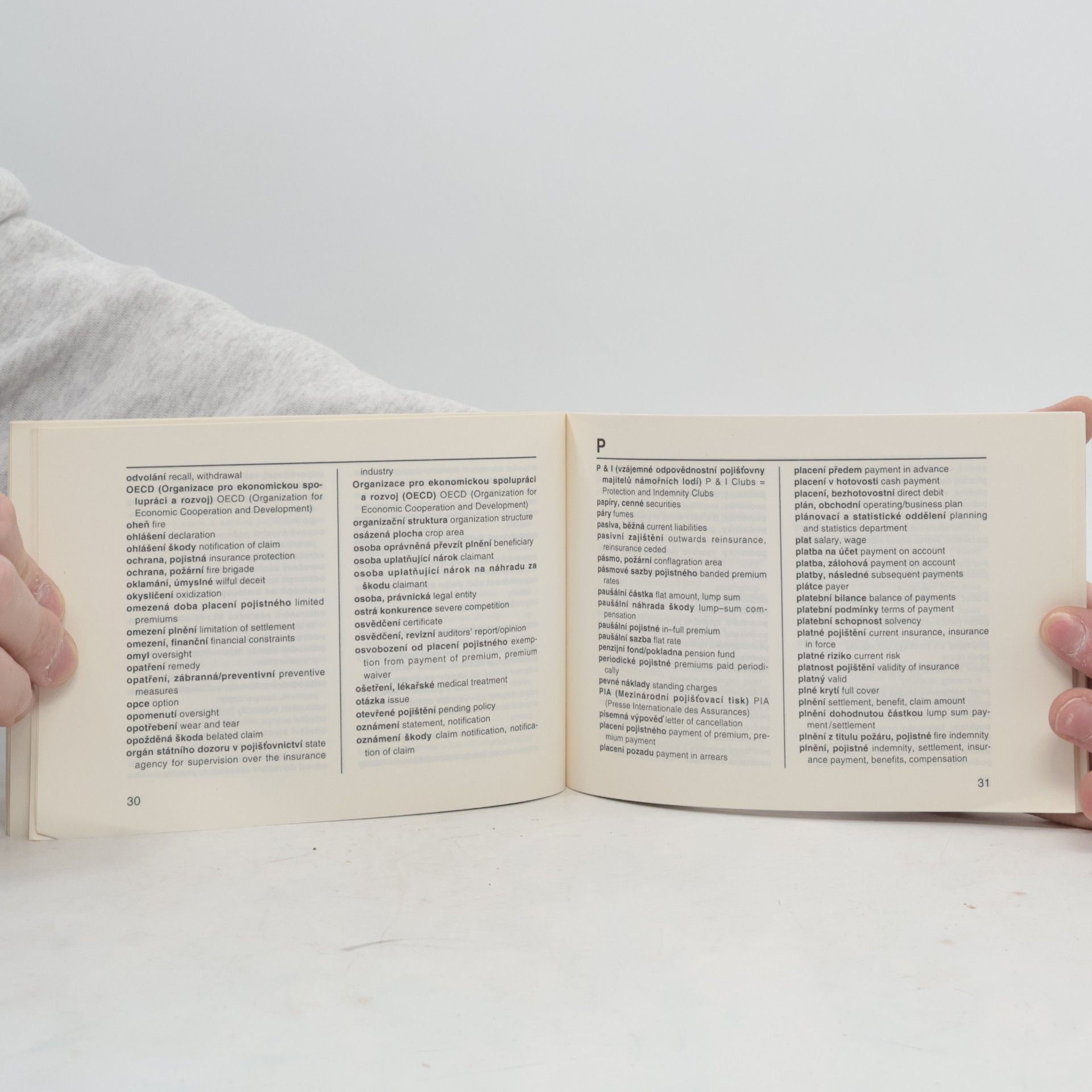Autorenkollektiv Pojišťovací Česko-anglický slovník