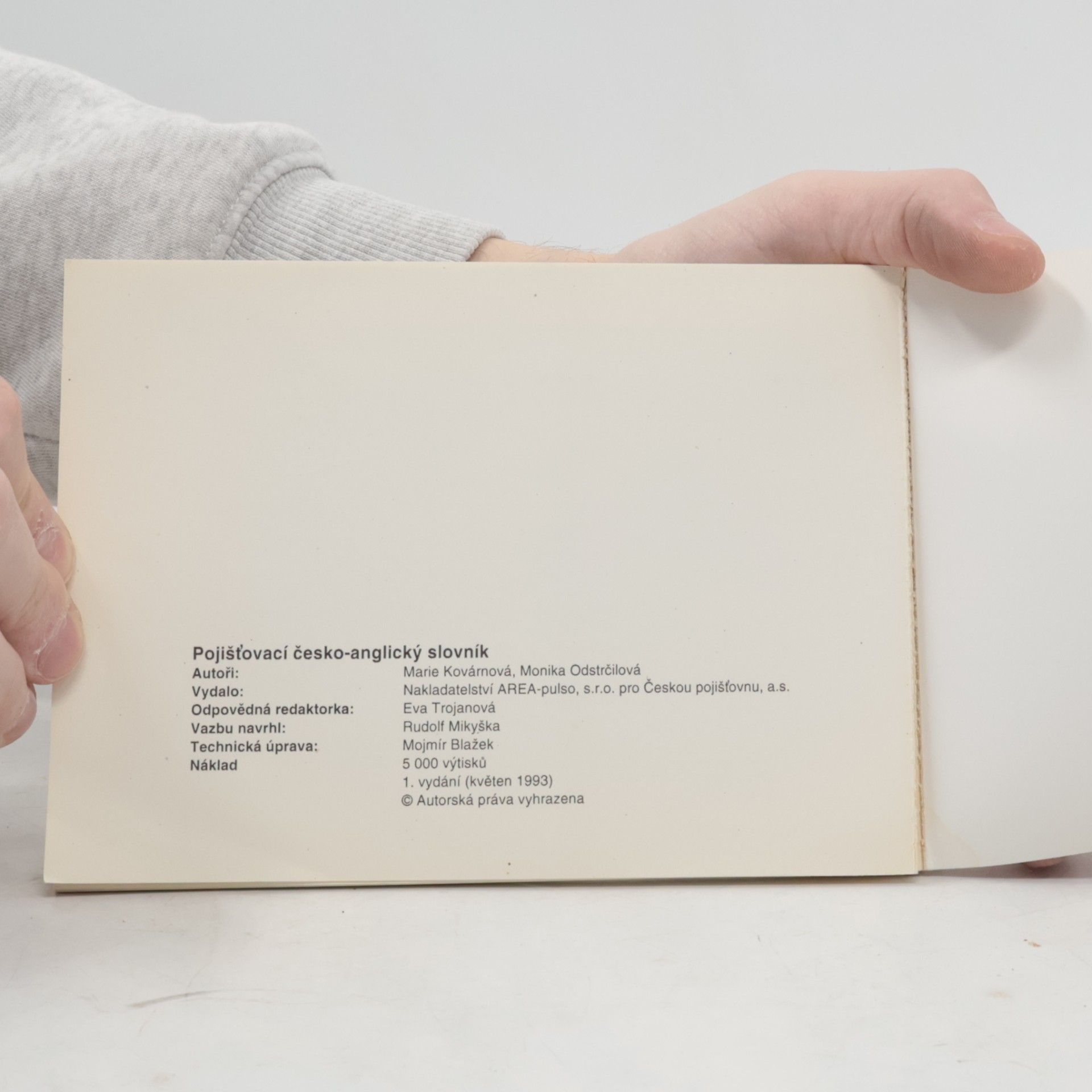 Autorenkollektiv Pojišťovací Česko-anglický slovník