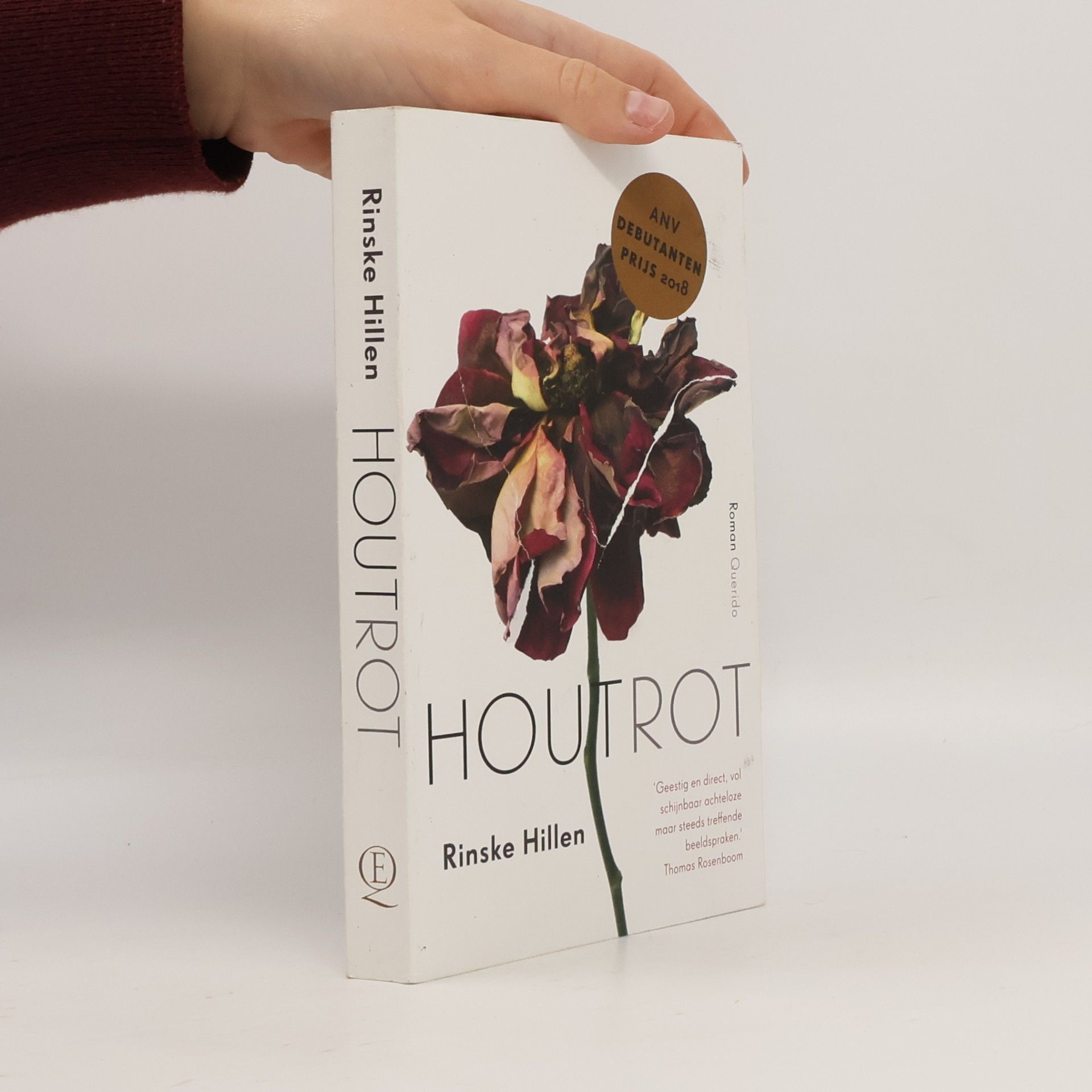 Houtrot