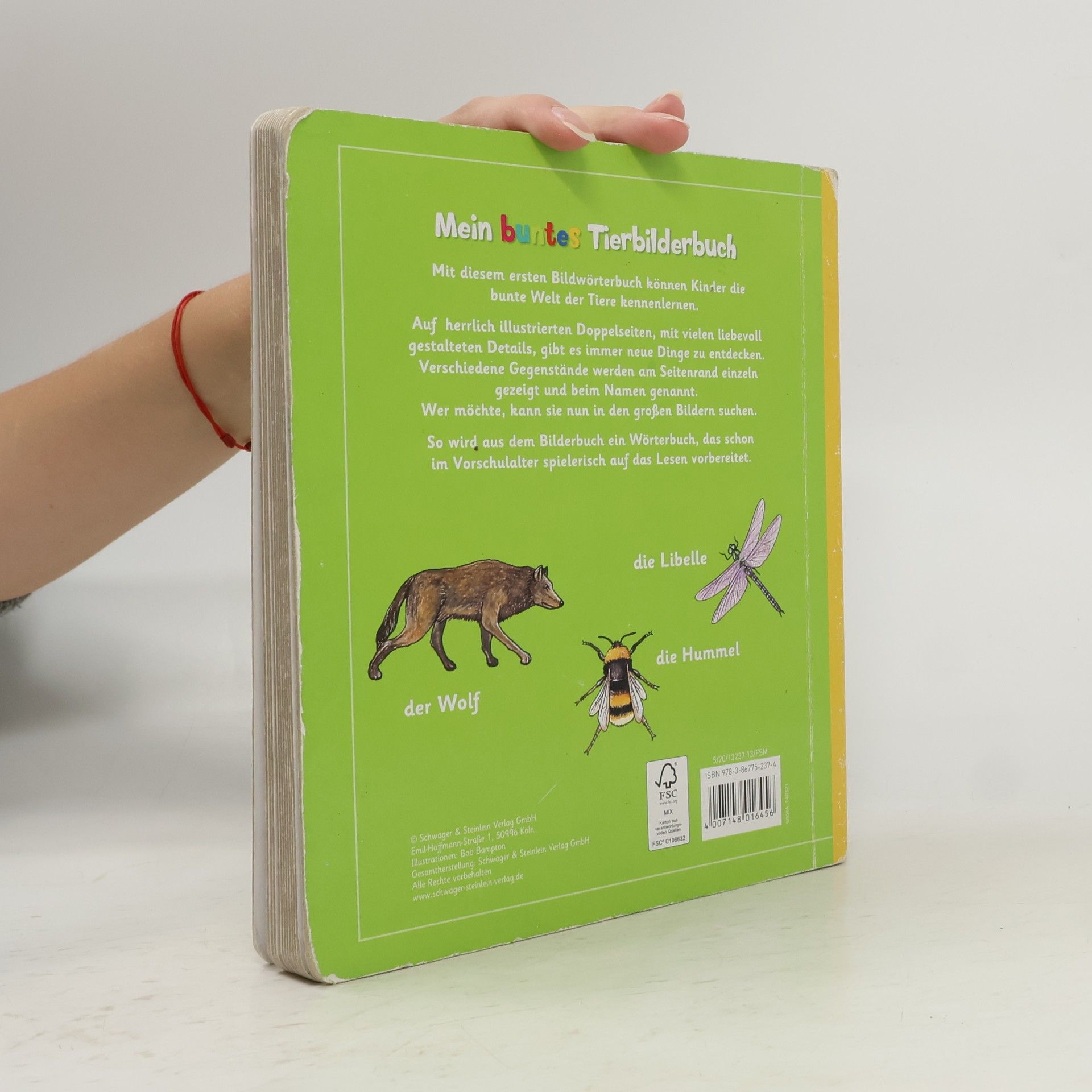 Bob Bampton Mein buntes Tierbilderbuch
