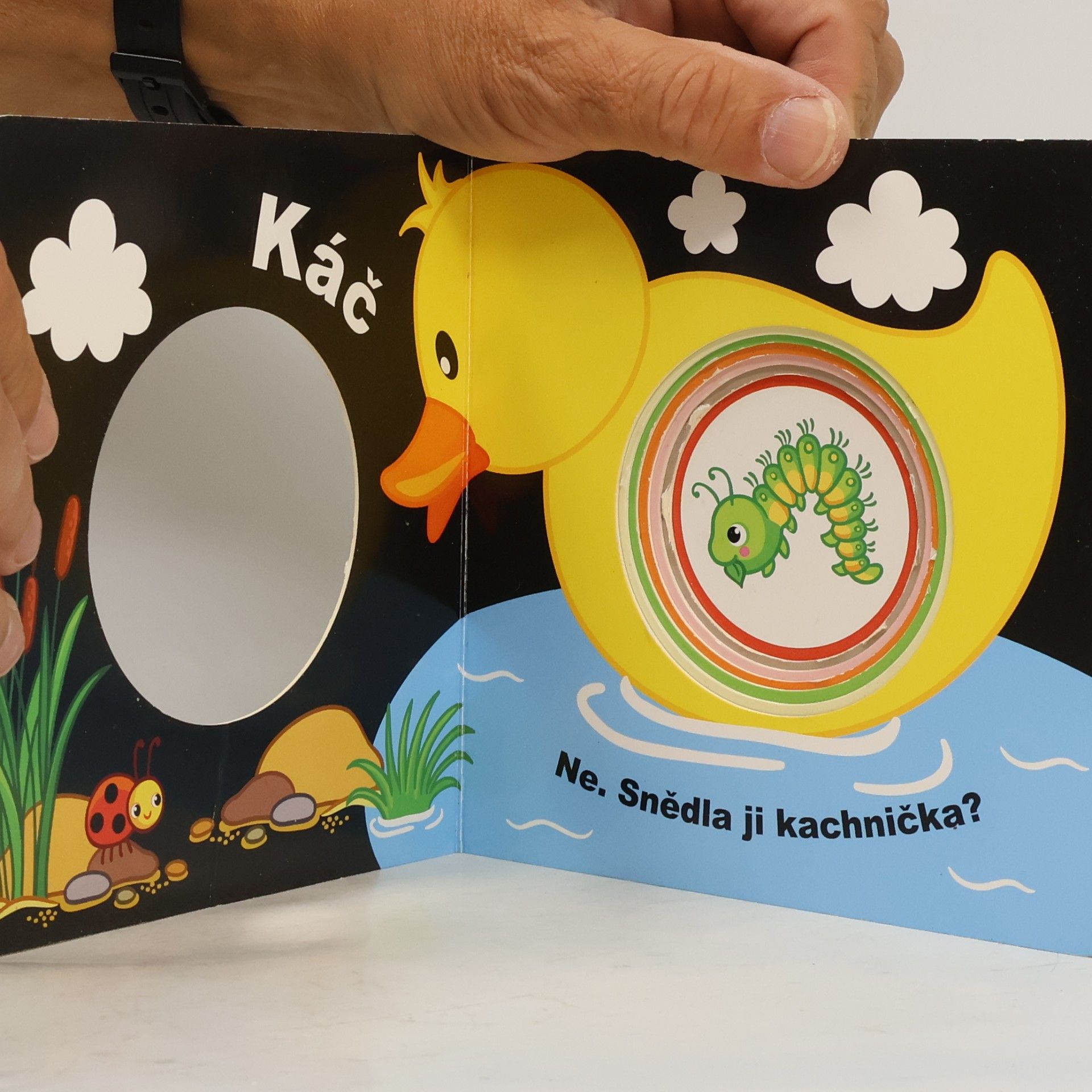 Autorenkollektiv Kdo snědl housenku? Kniha pro nejmenší