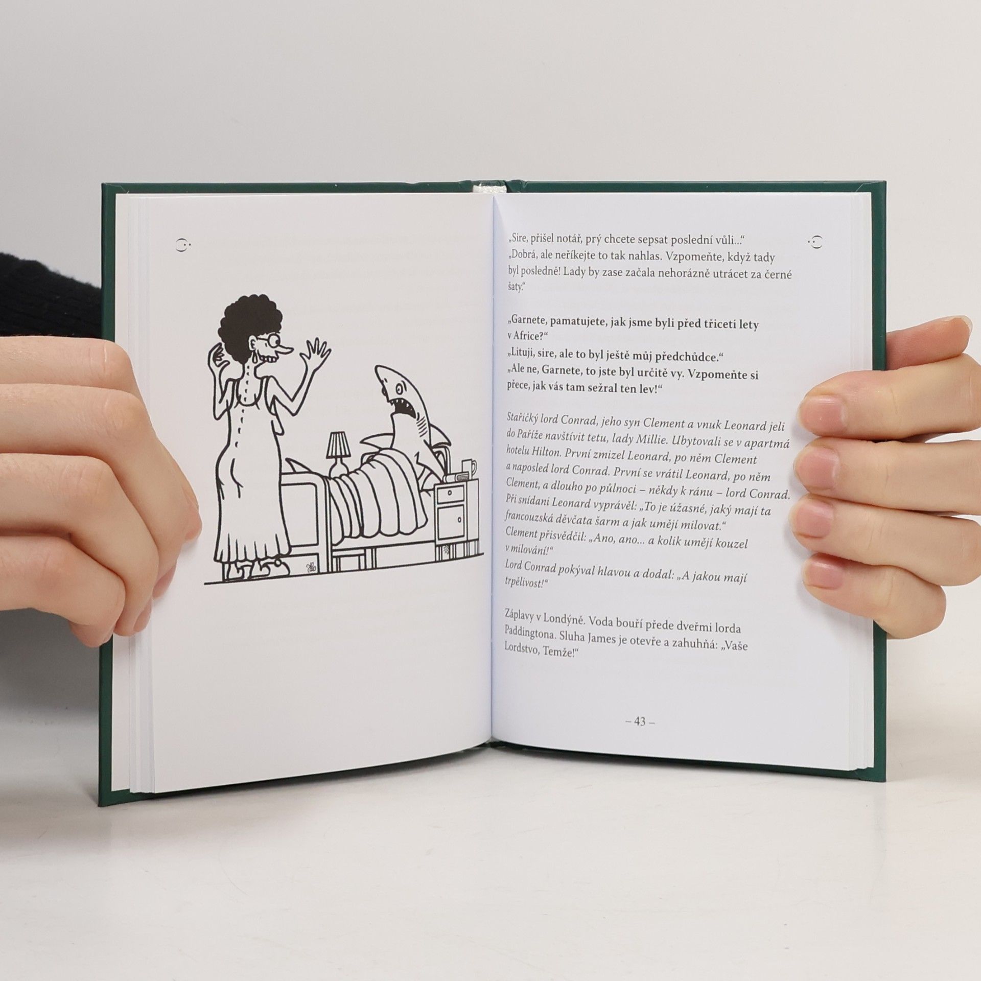 Autorenkollektiv Biftek s oblohou - 300 nejlepších anekdot z Velké Británie