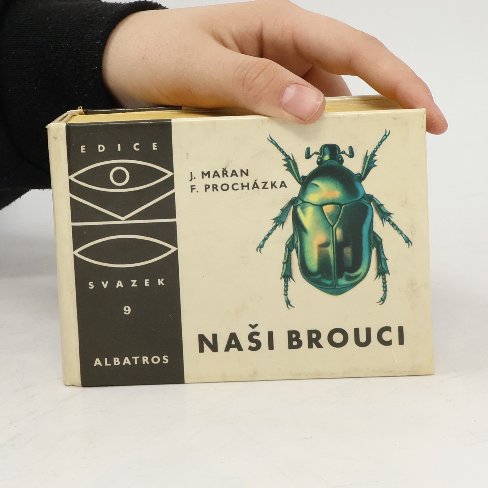 Josef Mařan Naši brouci