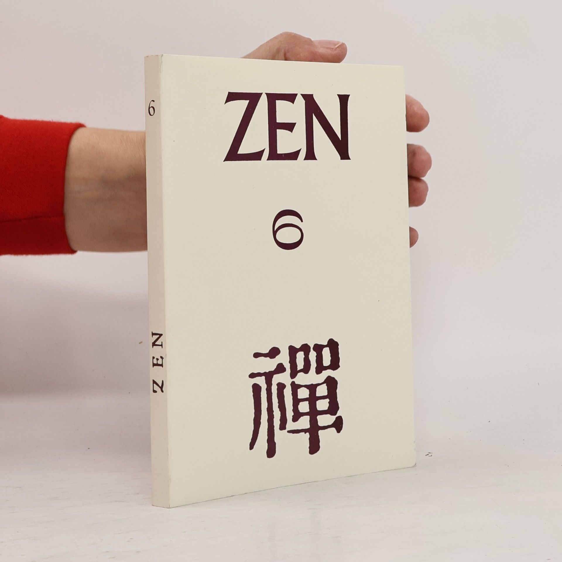 Jan Vladislav Zen 6