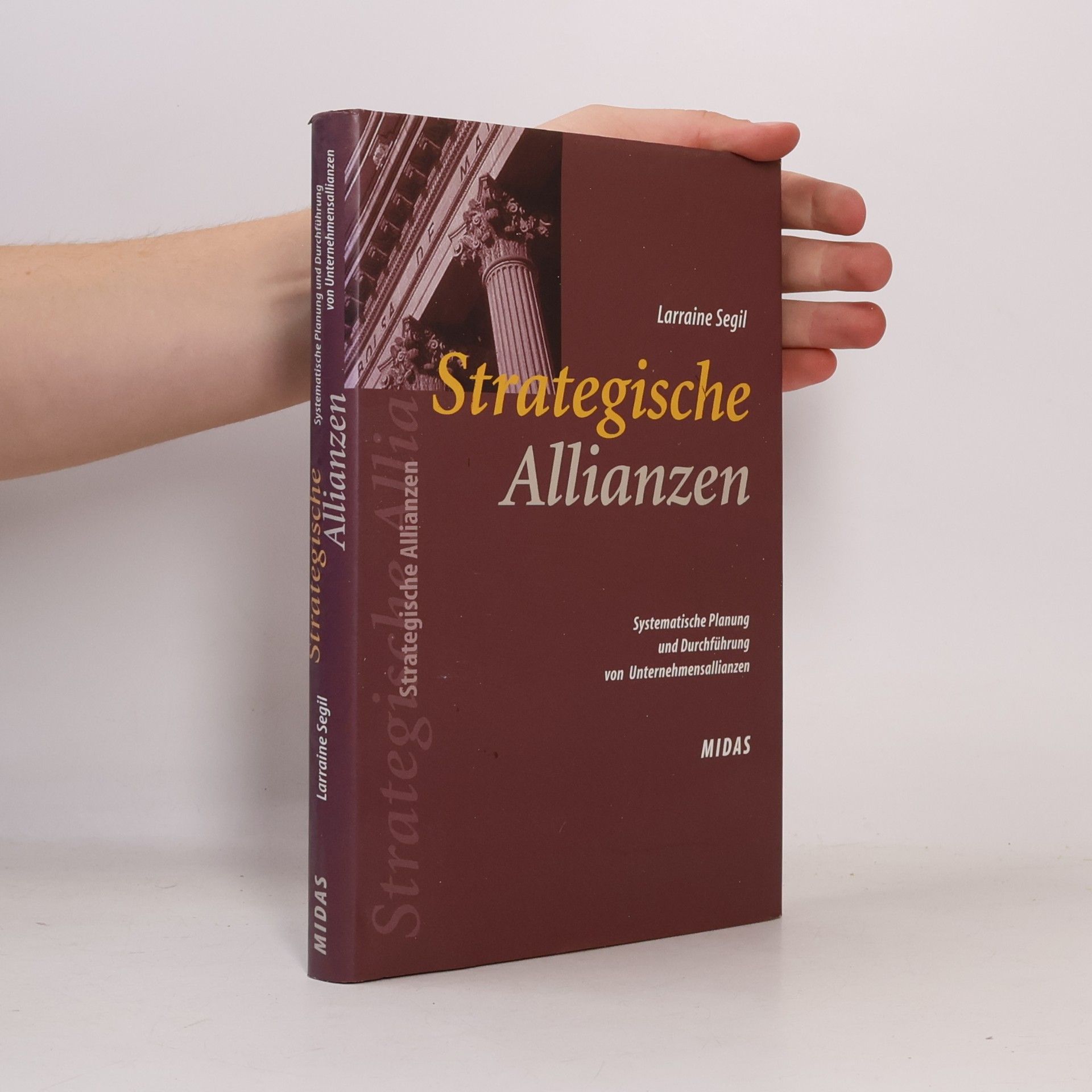 Larraine Segil Strategische Allianzen