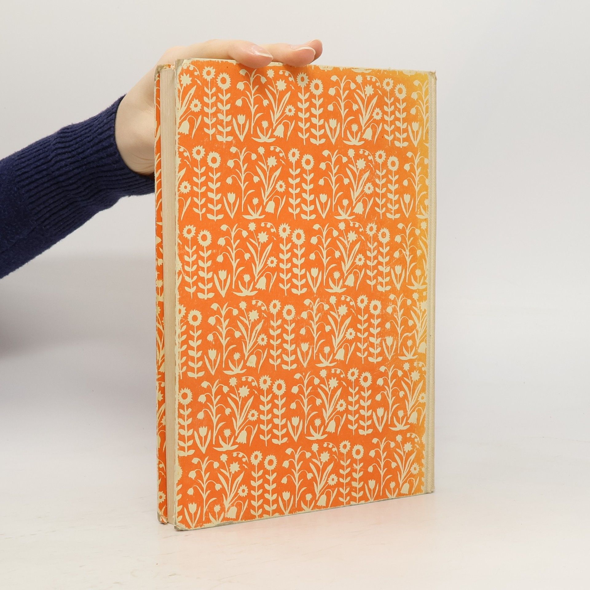 Ruth Zechlin Werkbuch für Mädchen