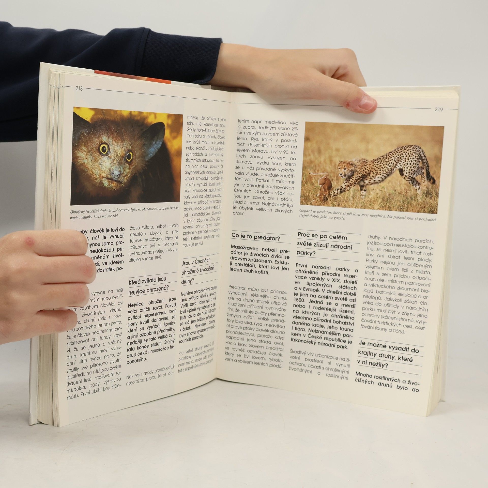 Kolektiv autorů 1001 otázek a odpovědí na vše kolem nás