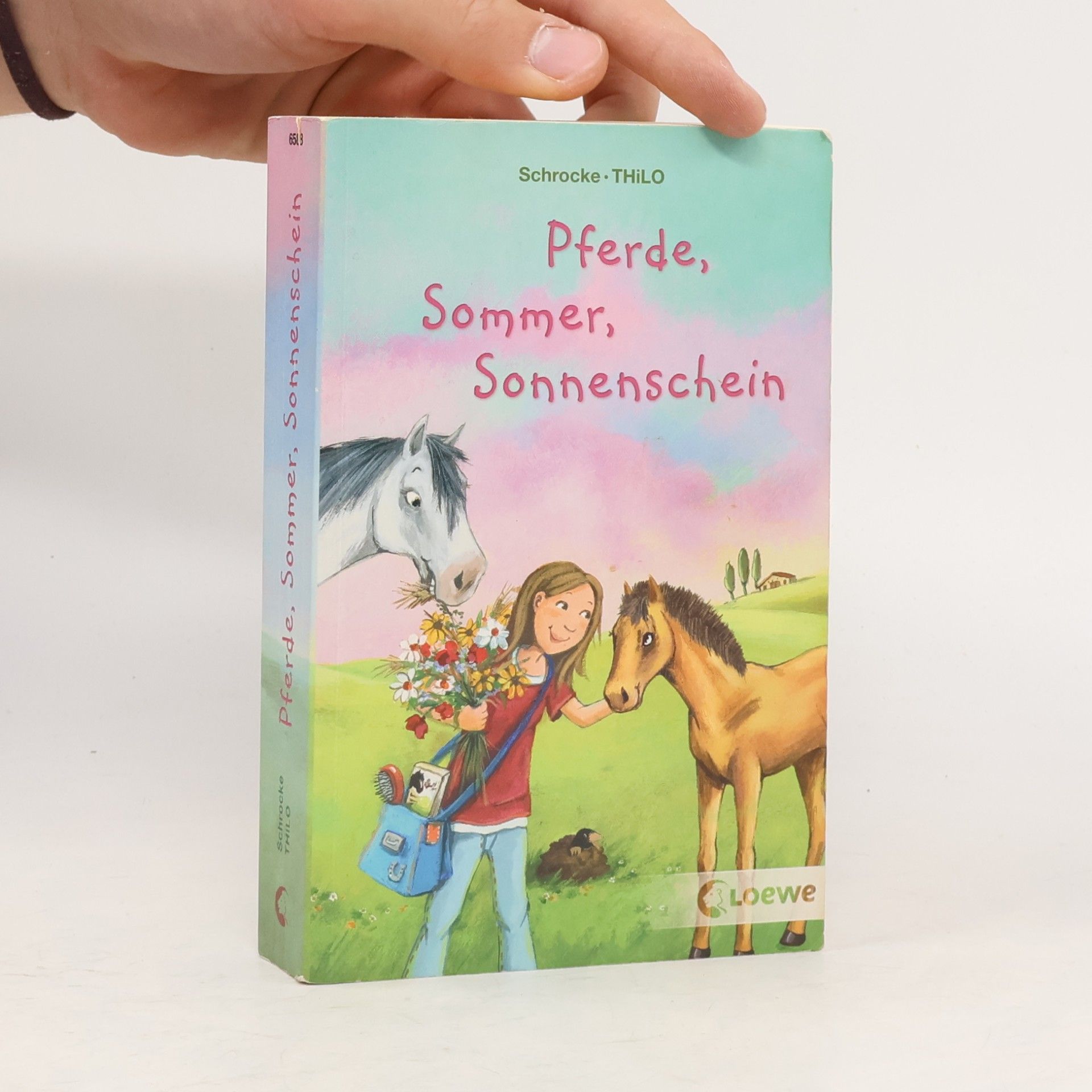 Kathrin Schrocke Pferde, Sommer, Sonnenschein. Ein Pferd im Gepäck; Im Galopp ins Fettnäpfchen. Doppelband