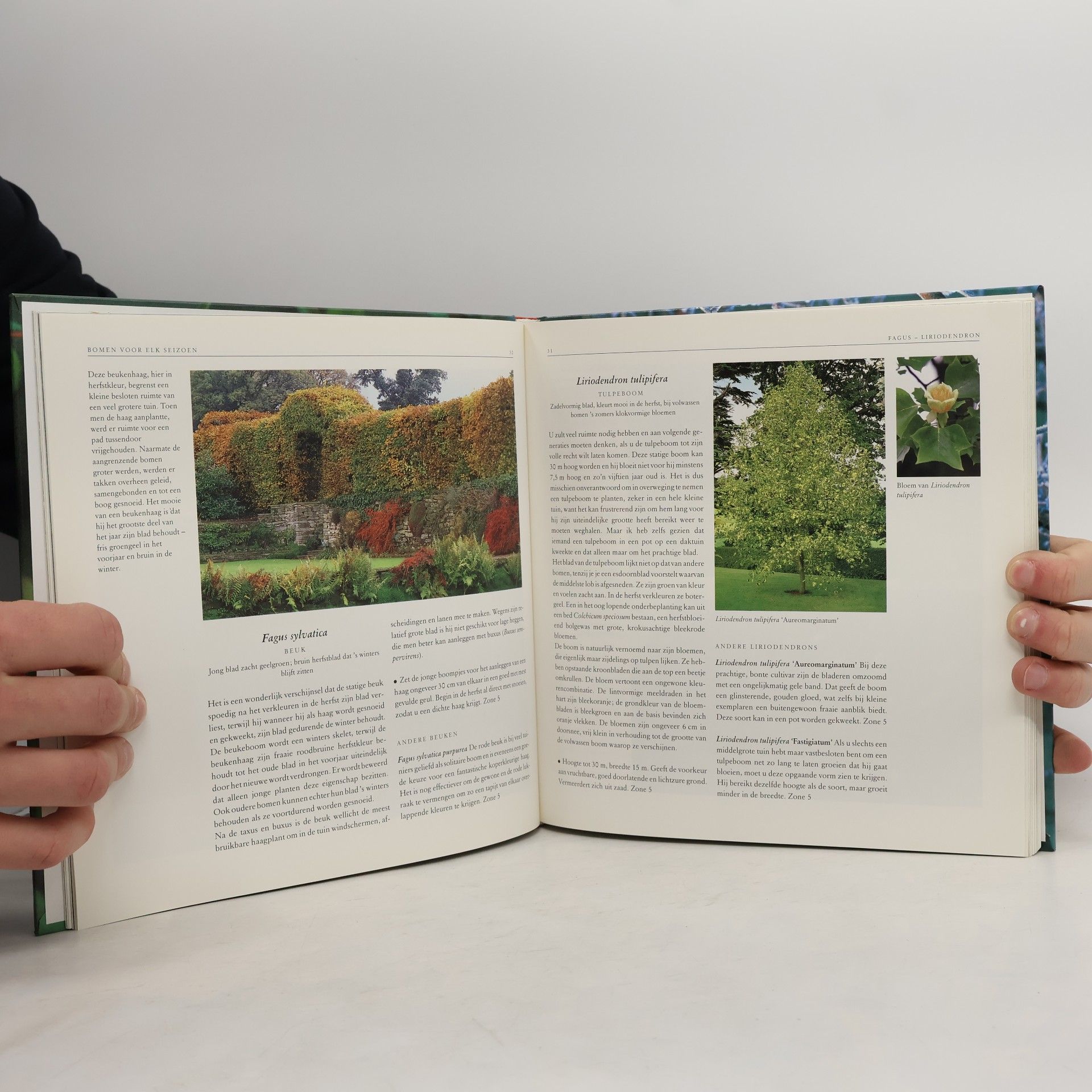 Andrew Lawson Kleur in uw tuin