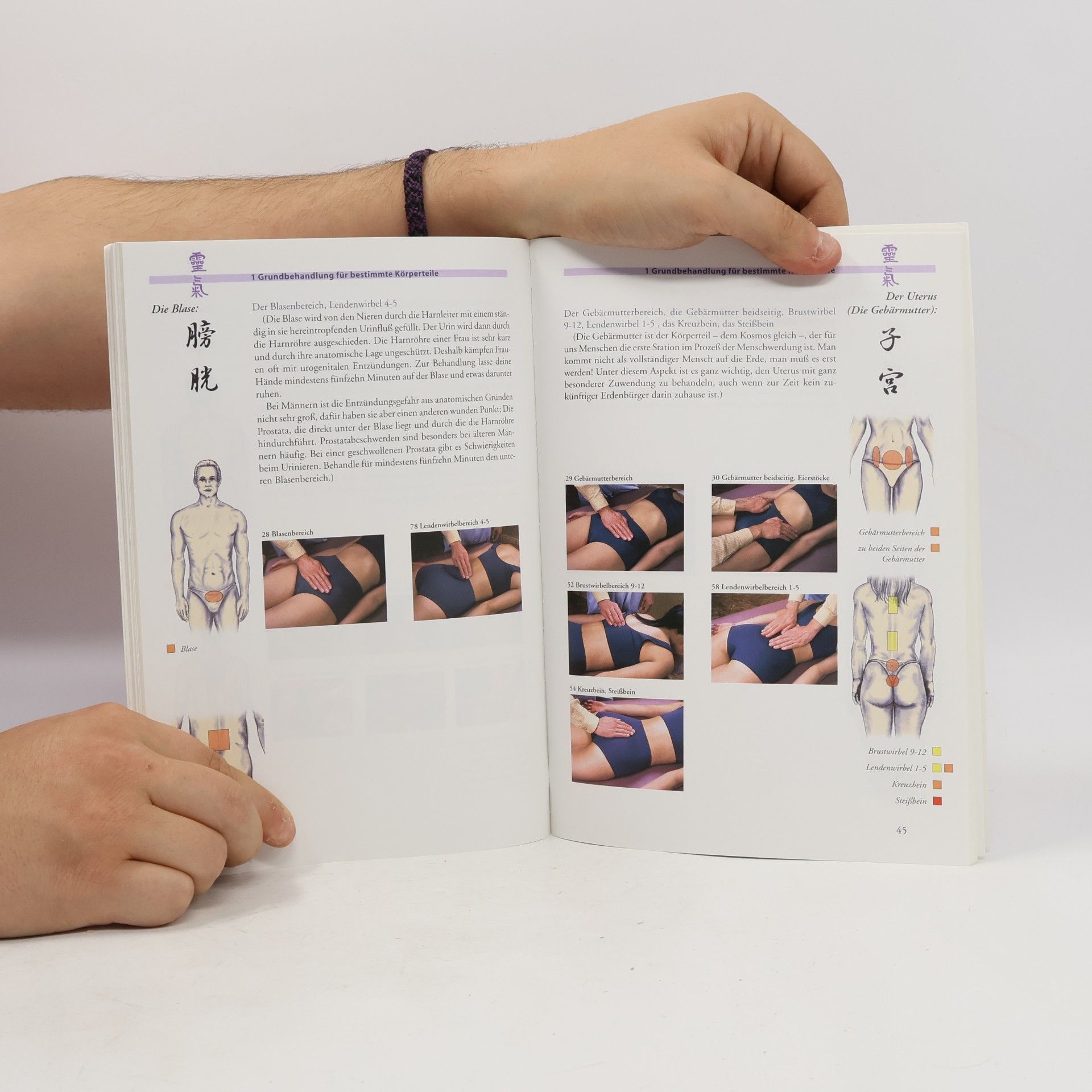 Mikao Usui Original-Reiki-Handbuch des Dr. Mikao Usui