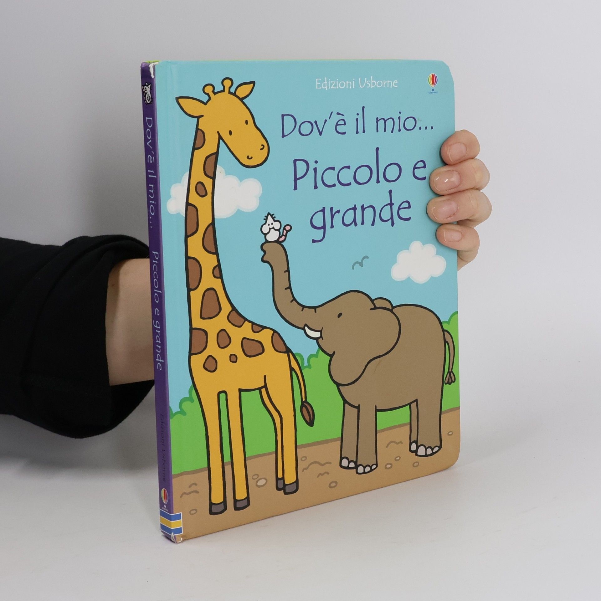 Fiona Watt Dov'è il mio...: Piccolo e grande