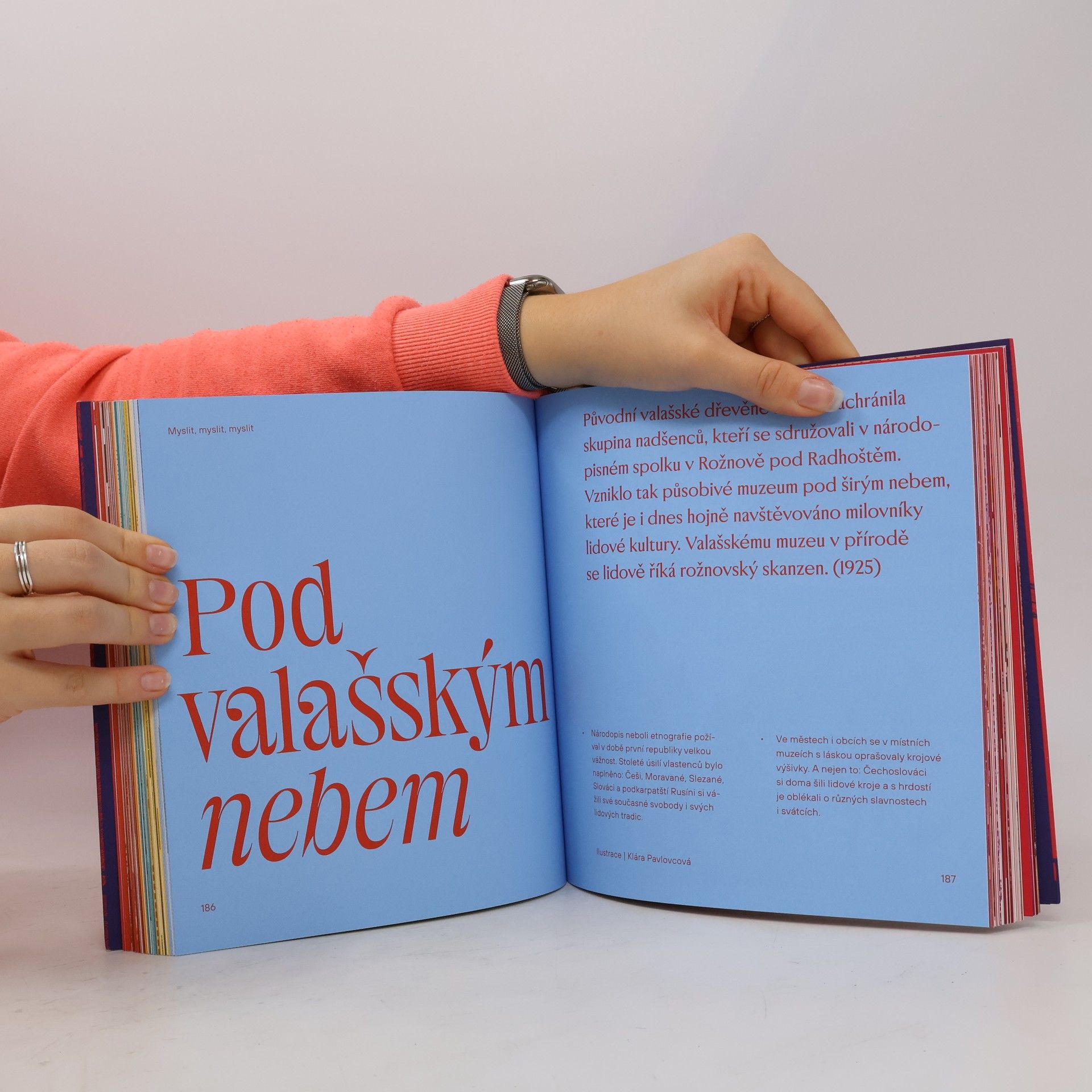 AA.VV. Nezapomenutelná dvacátá