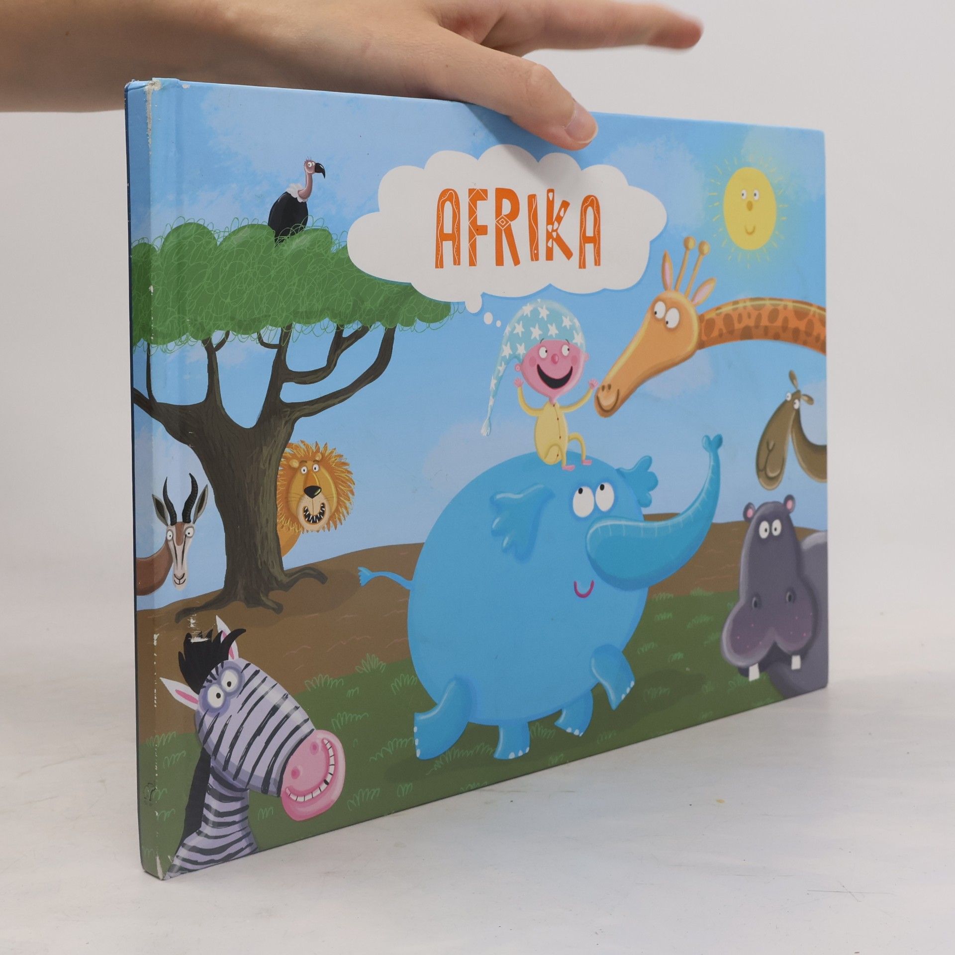 Dagmar Kýrová Afrika