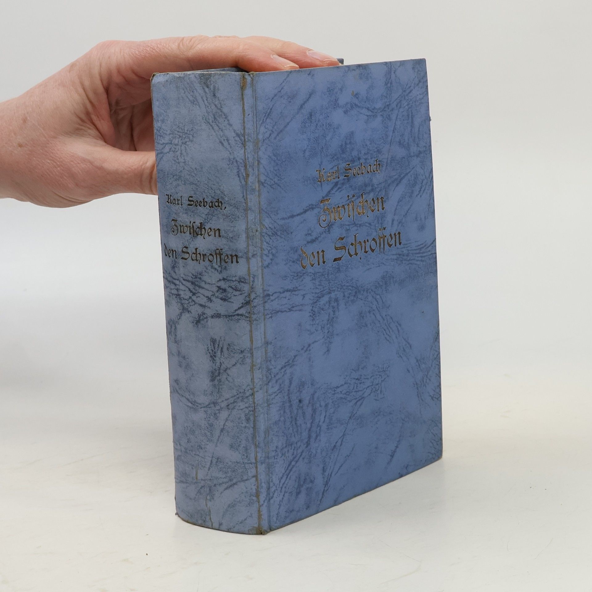 Karl von Seebach Zwischen den Schroffen