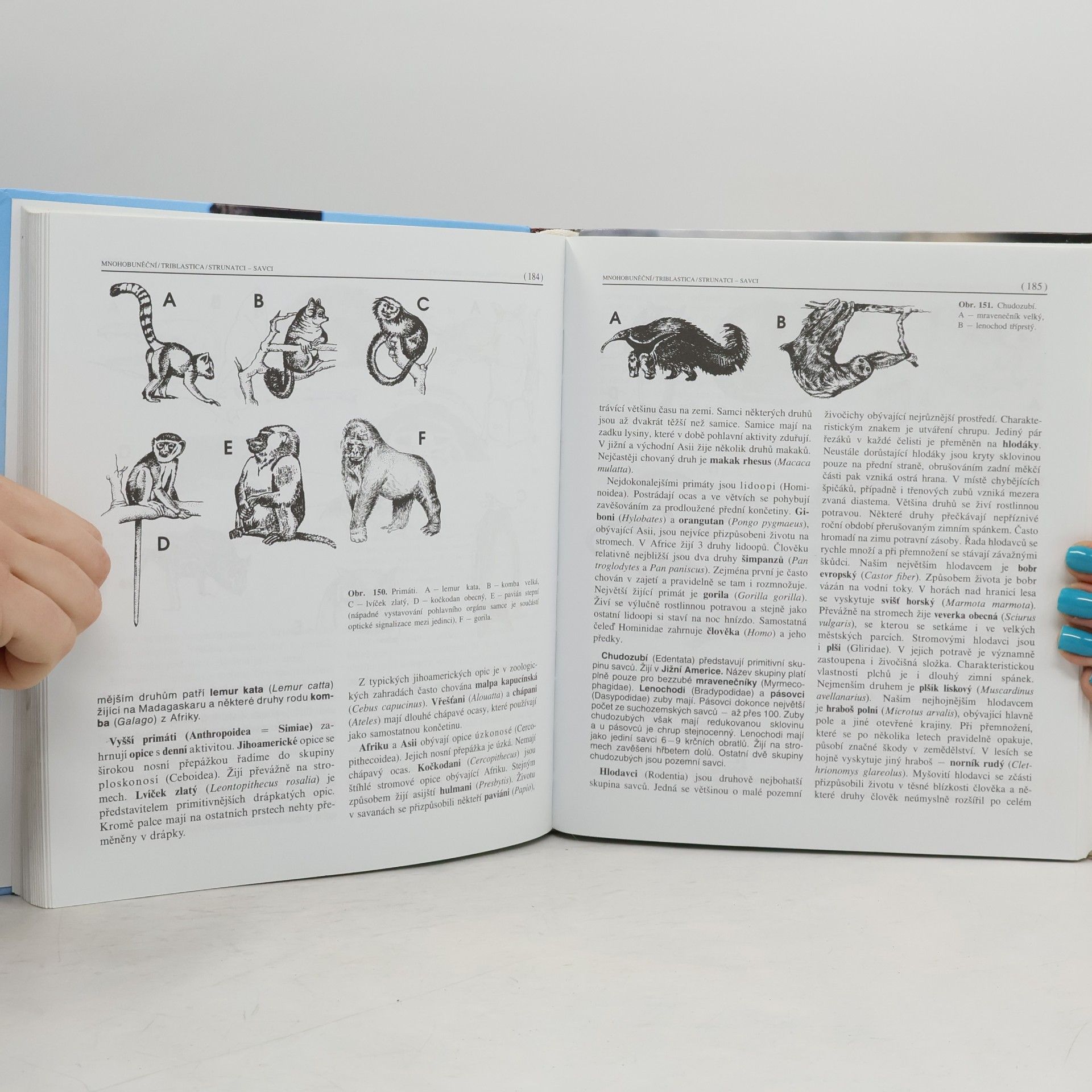 Miroslav Papáček Zoologie