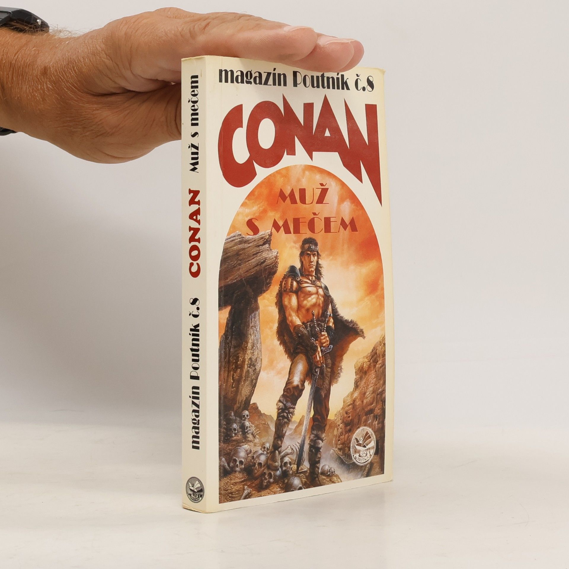 Luis Royo Conan : muž s mečem