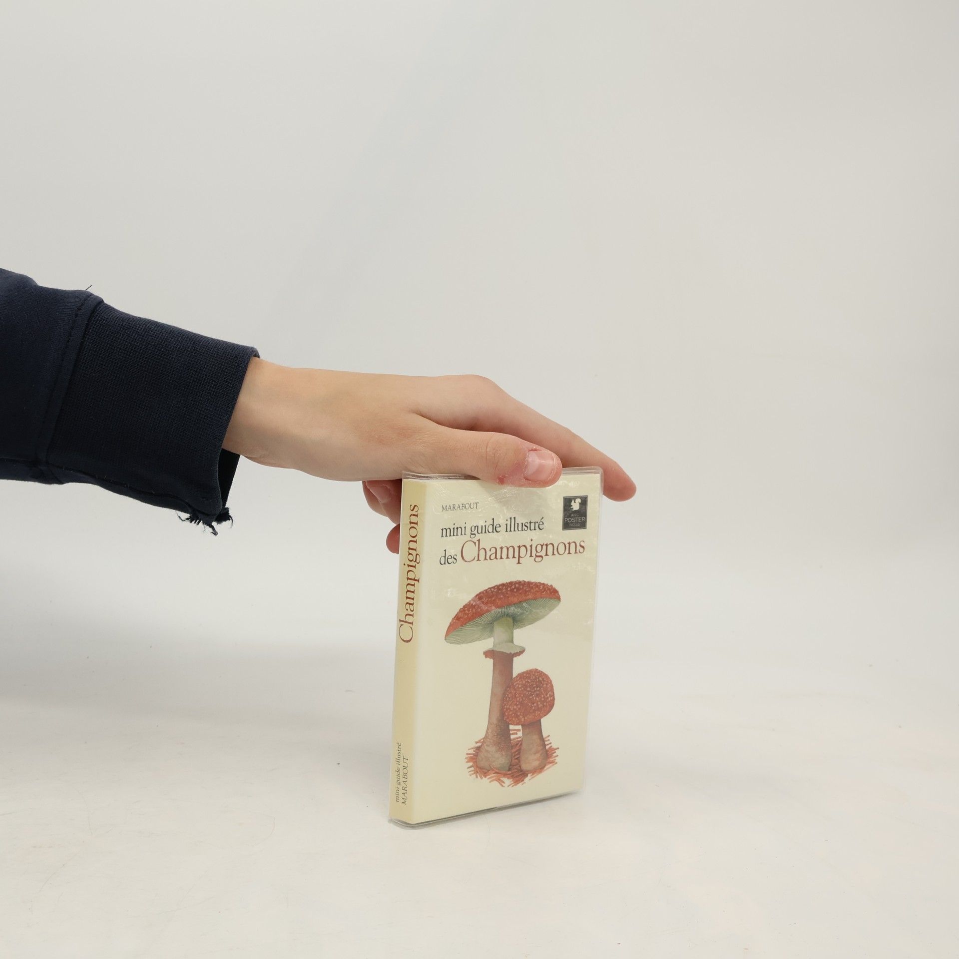 Marion Richaud Mini guide illustré des champignons - Avec poster inclus