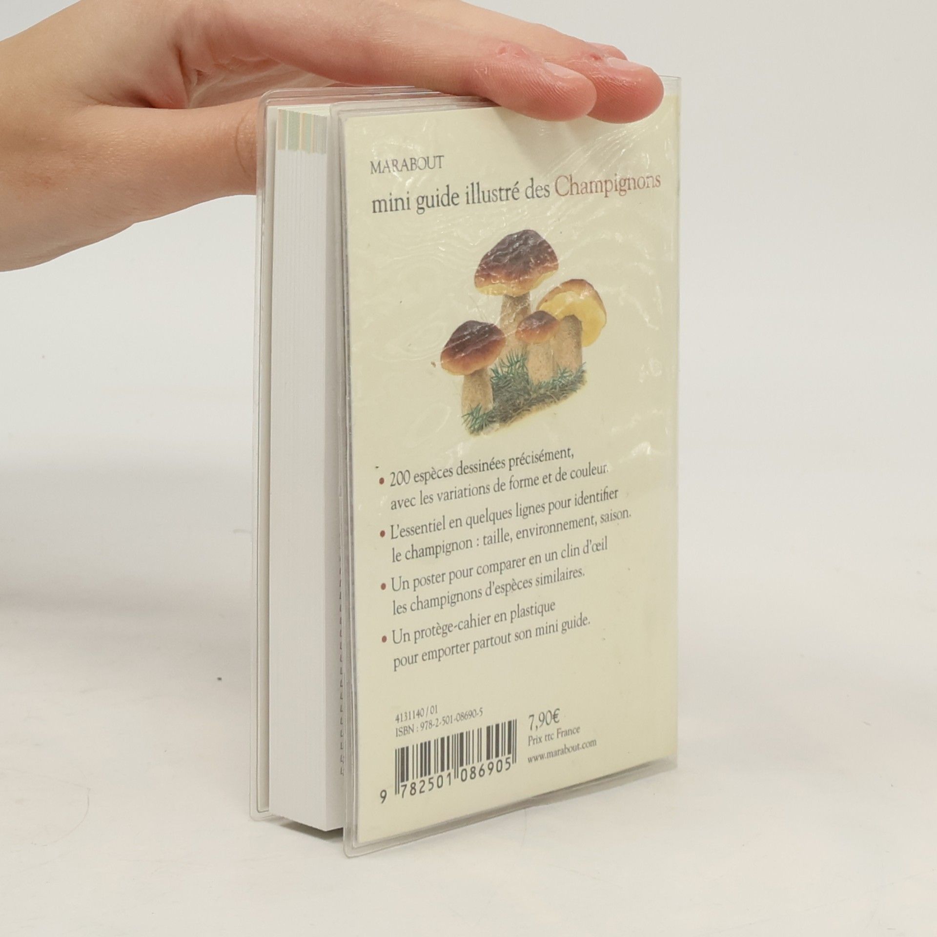 Marion Richaud Mini guide illustré des champignons - Avec poster inclus