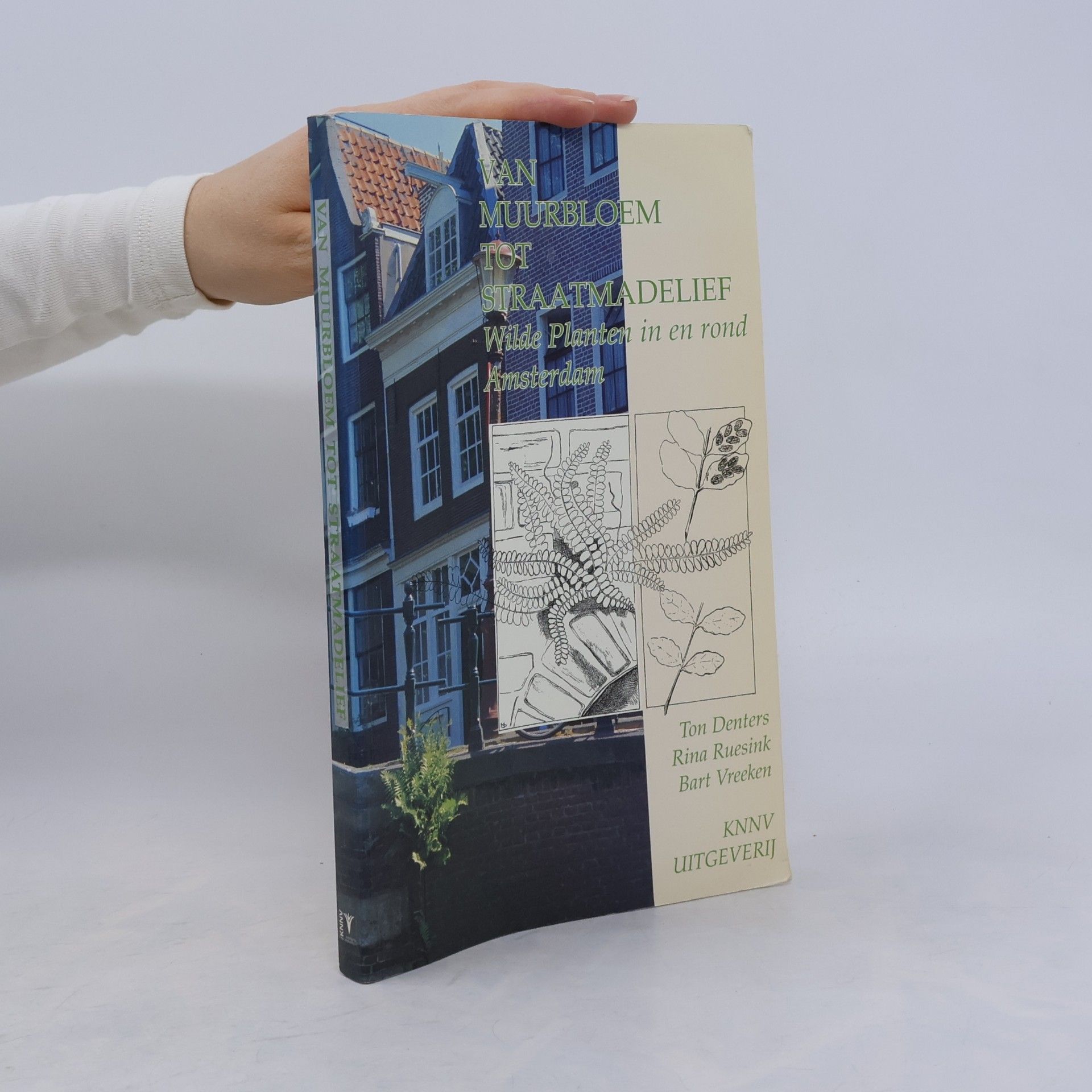 Van muurbloem tot straatmadelief
