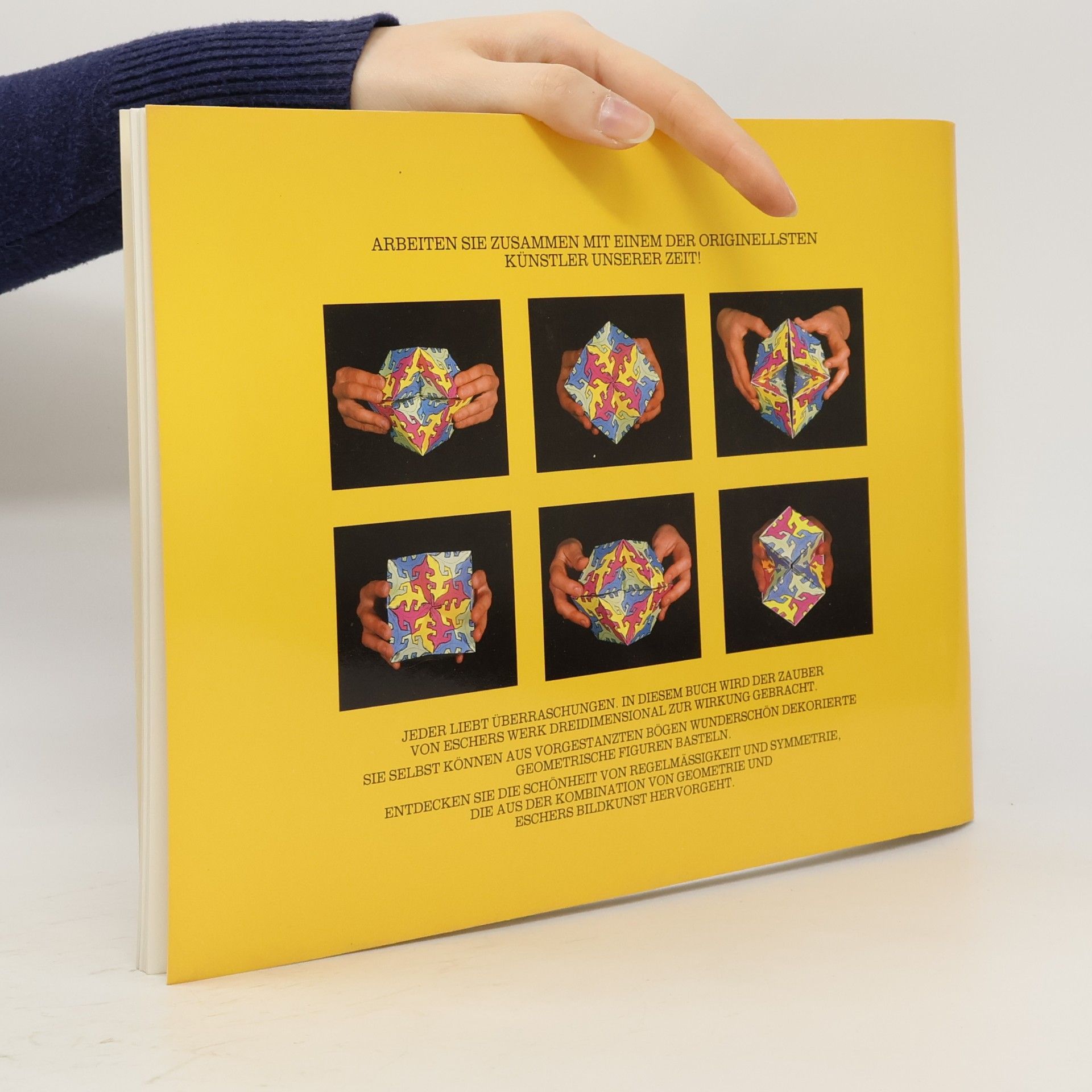 Doris Schattschneider M. C. Escher Kaleidozyklen