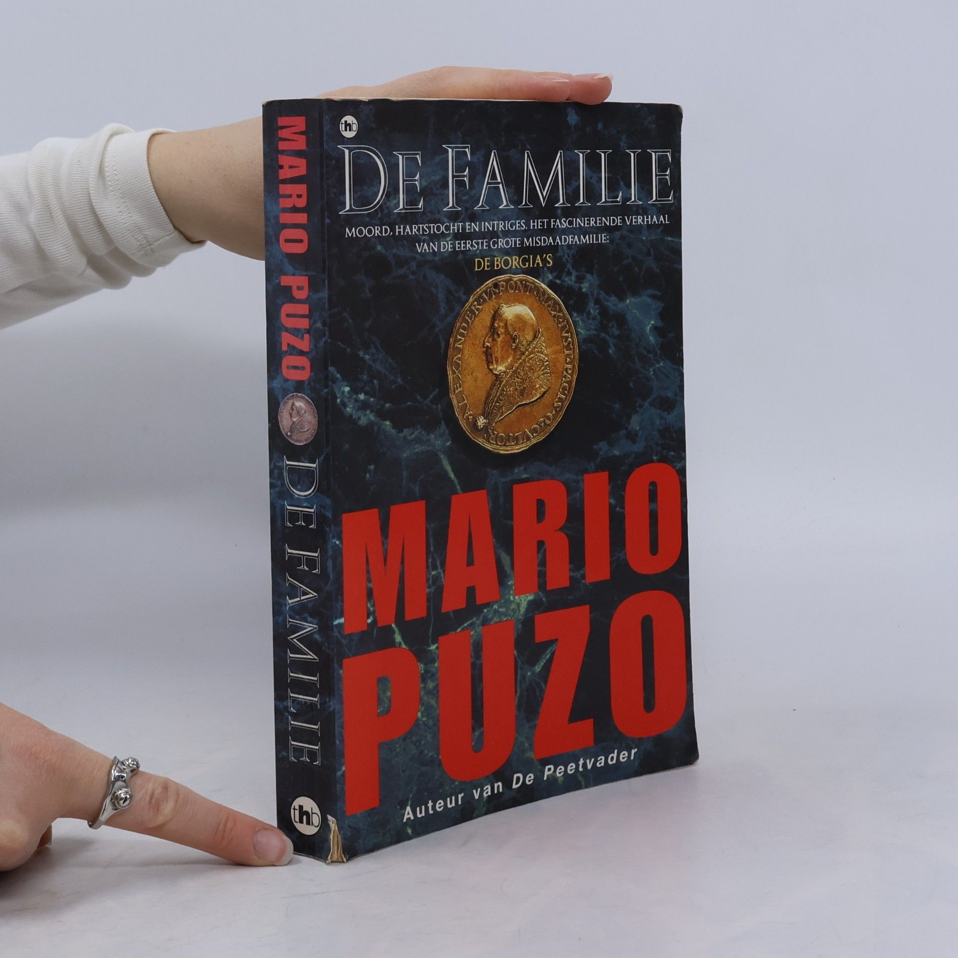 Mario Puzo De familie