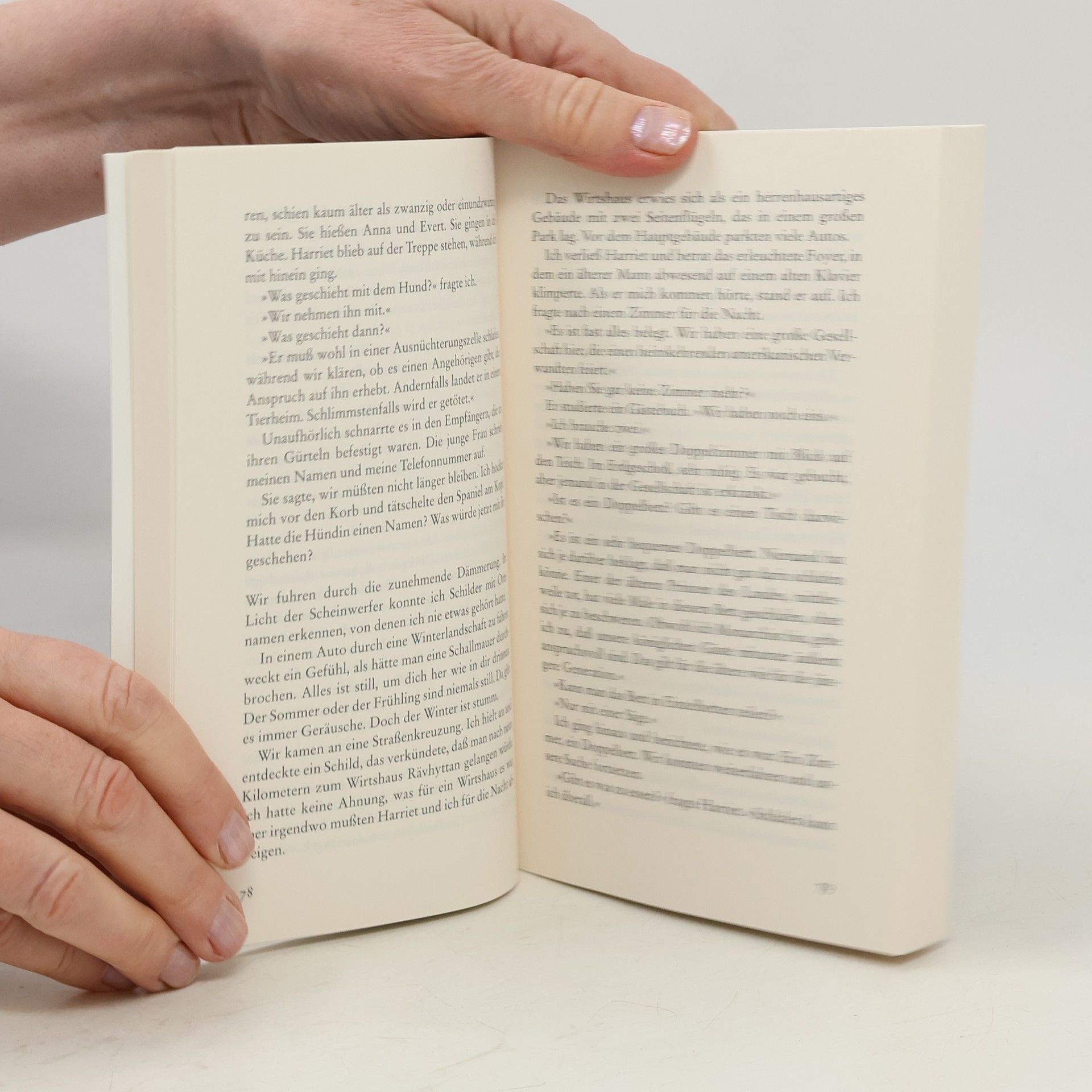 Henning Mankell Die italienischen Schuhe