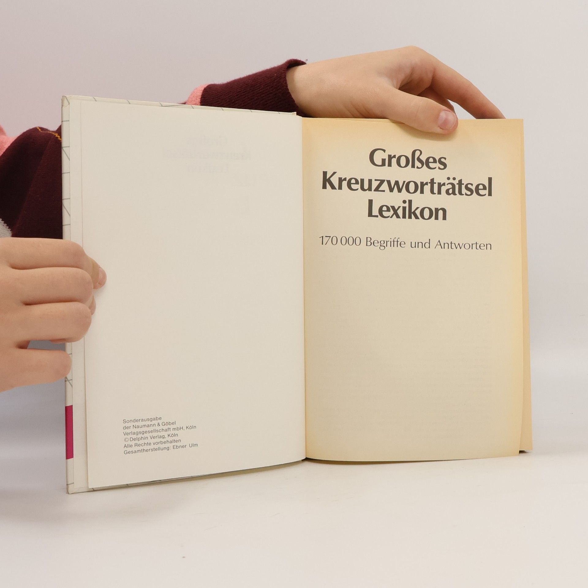 Autorenkollektiv Großes Kreuzworträtsel Lexikon