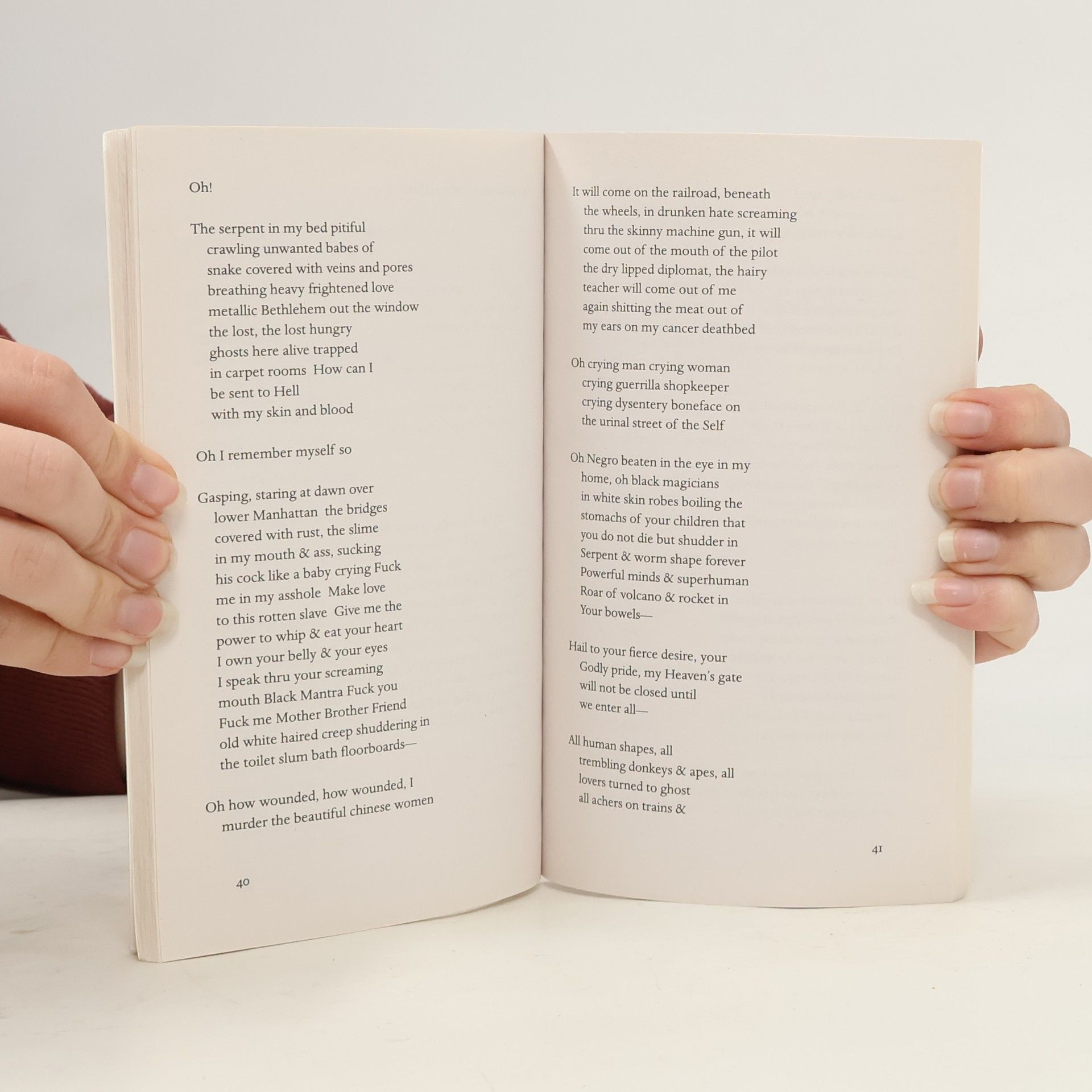 Allen Ginsberg Penguin Archive: Sunflower Sutra