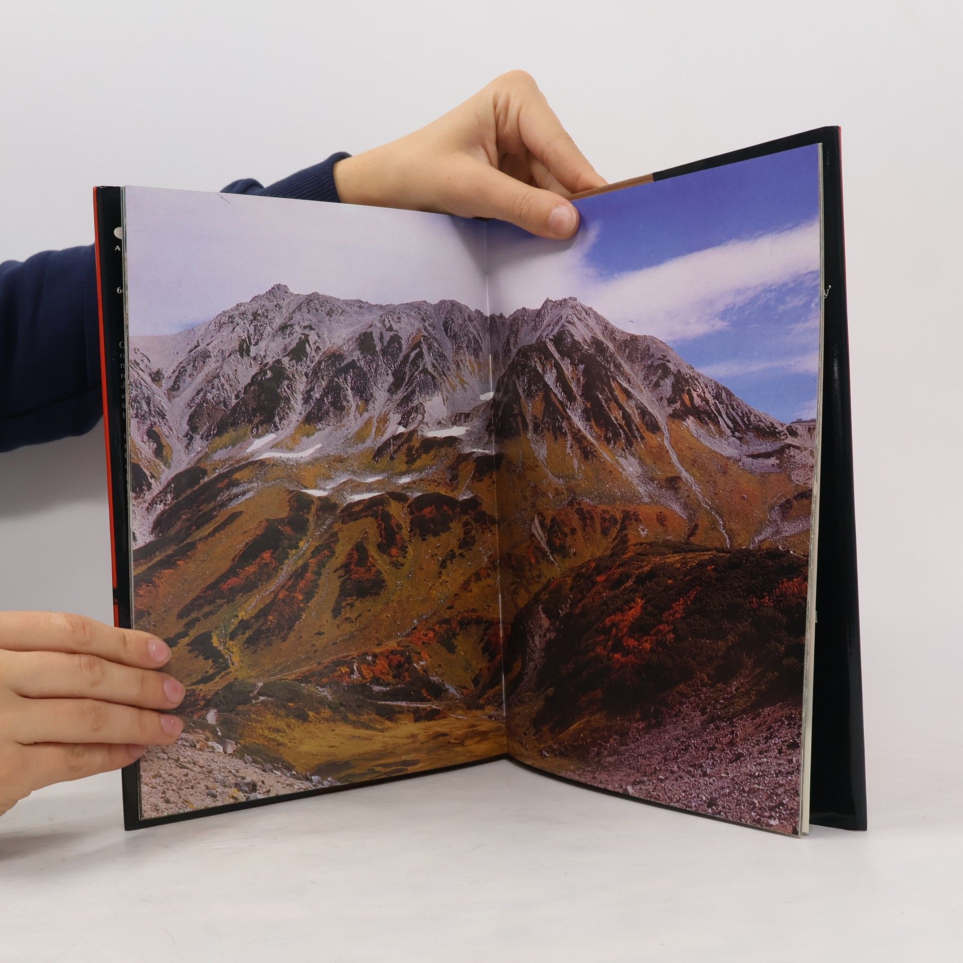 Ted Smart Japan : a picture book to remember her by