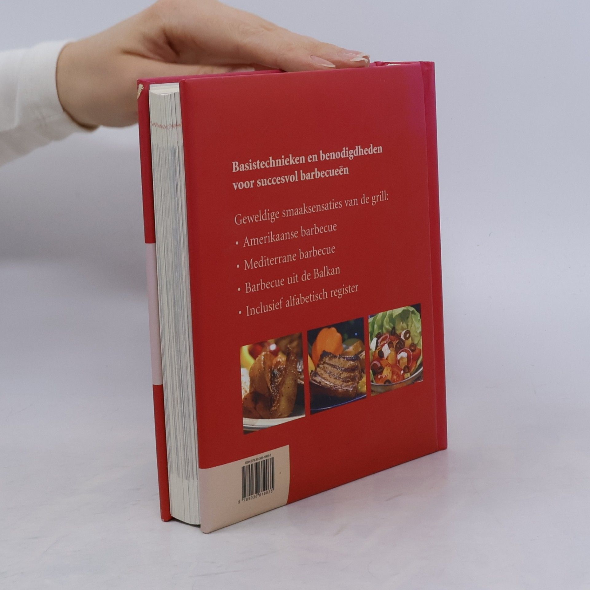 Roger Kimpel Dumonts kleine lexicon: DuMonts kleine barbecuelexicon