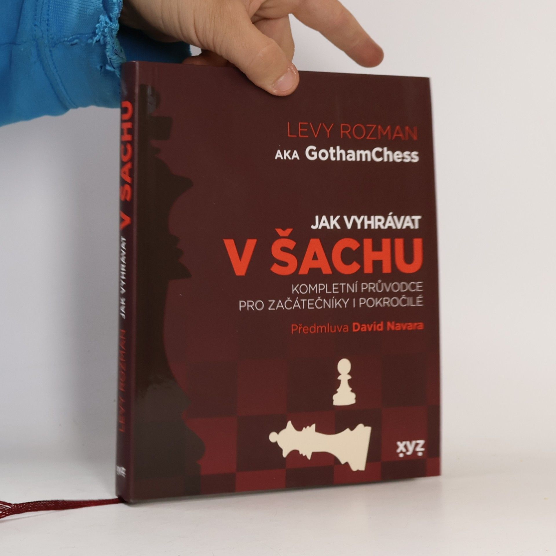 Levy Rozman Jak vyhrávat v šachu