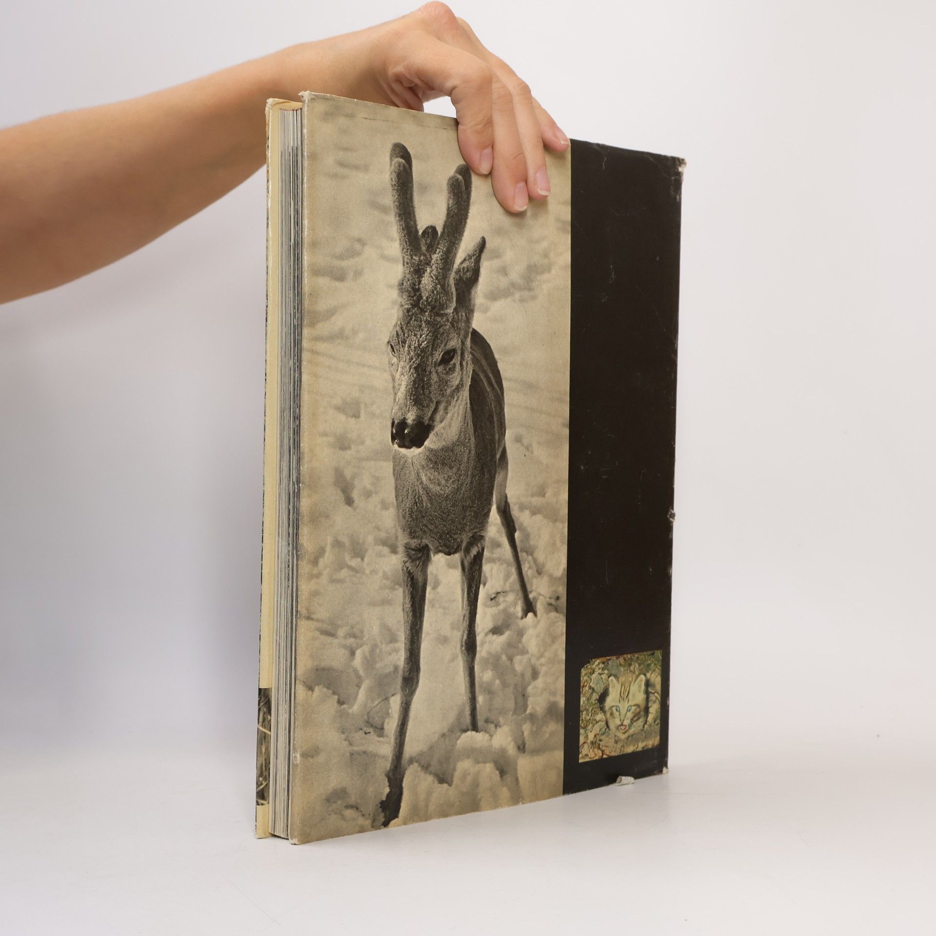 Jaroslav Holeček V srdci přírody