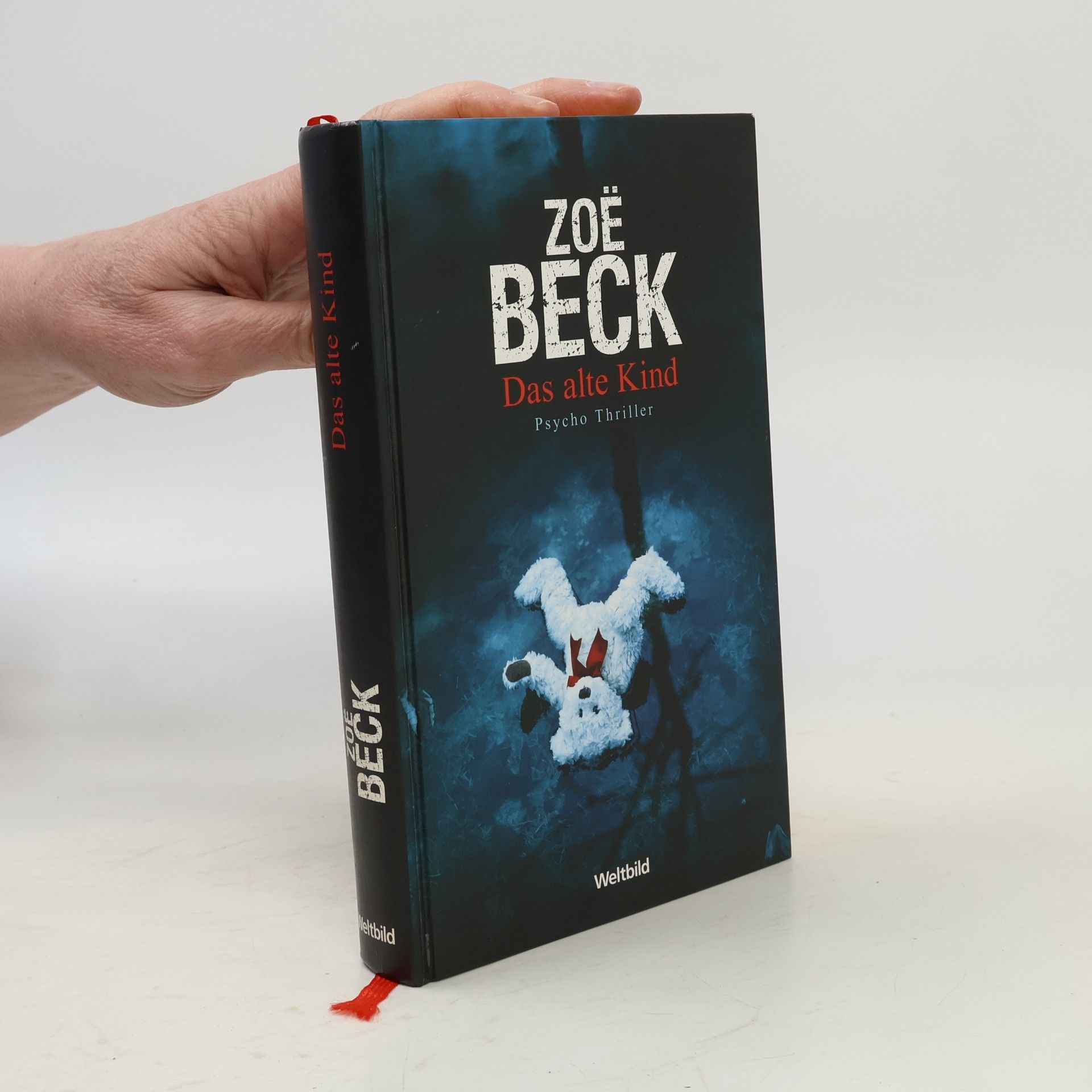 Zoë Beck Das alte Kind