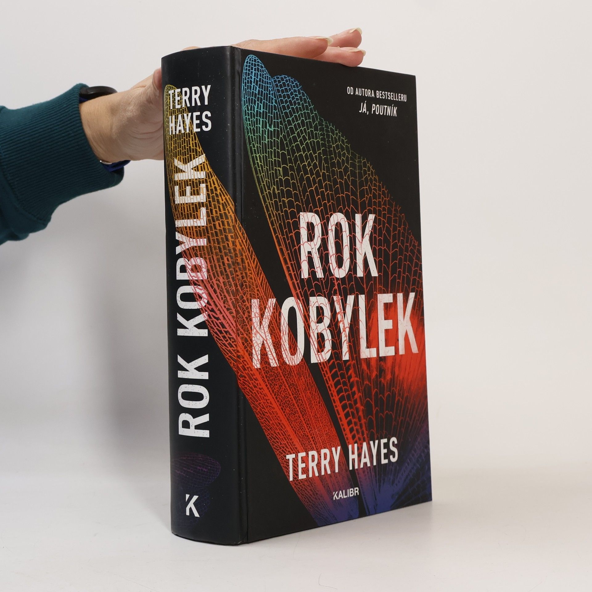 Terry Hayes Rok kobylek