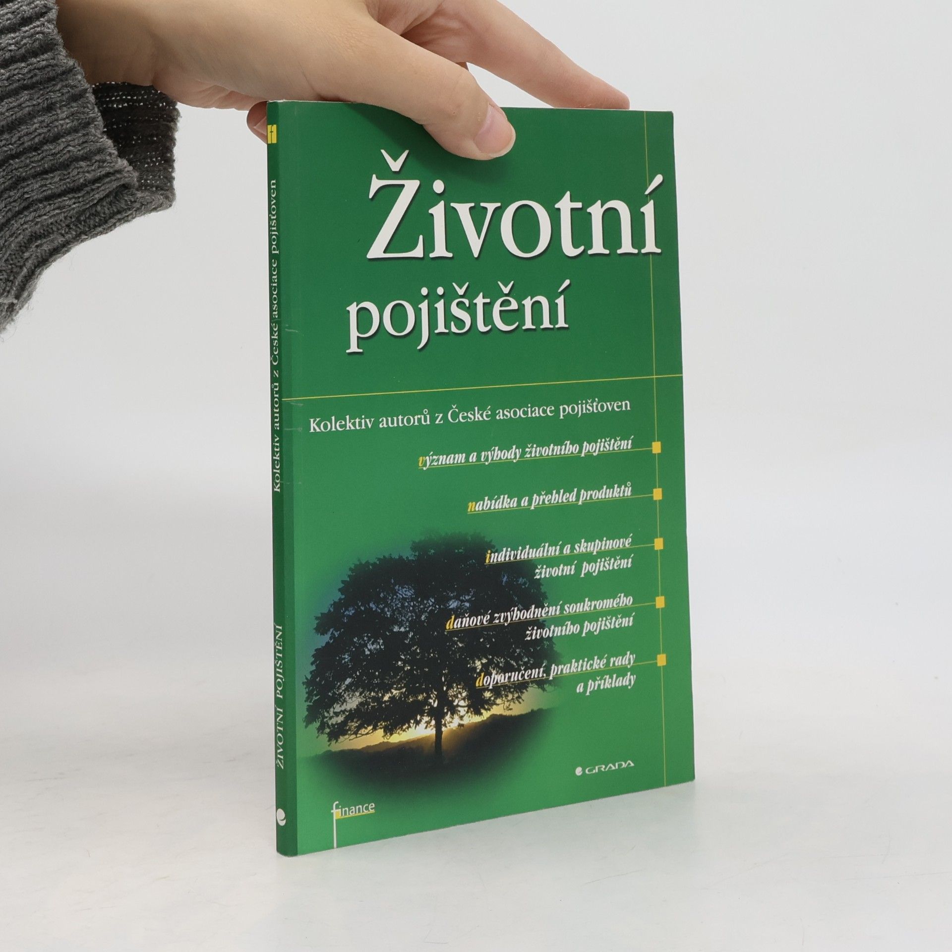 Kolektiv autorů Životní pojištění