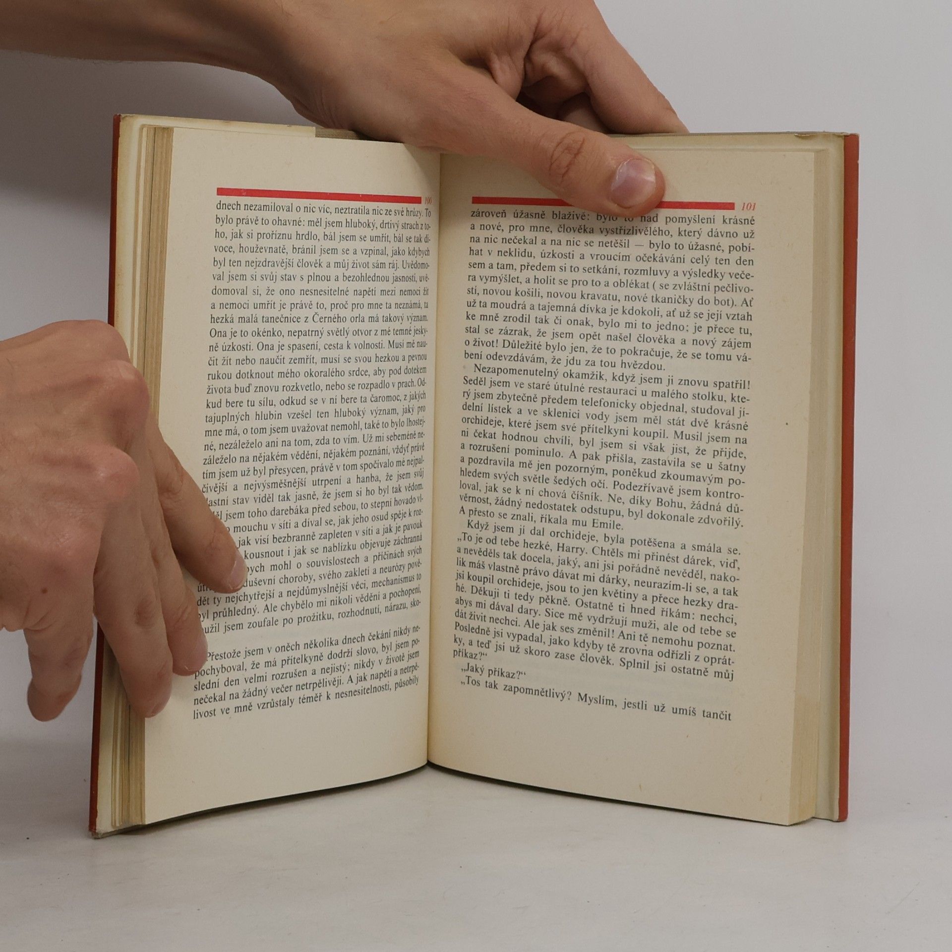 Hermann Hesse Stepní vlk