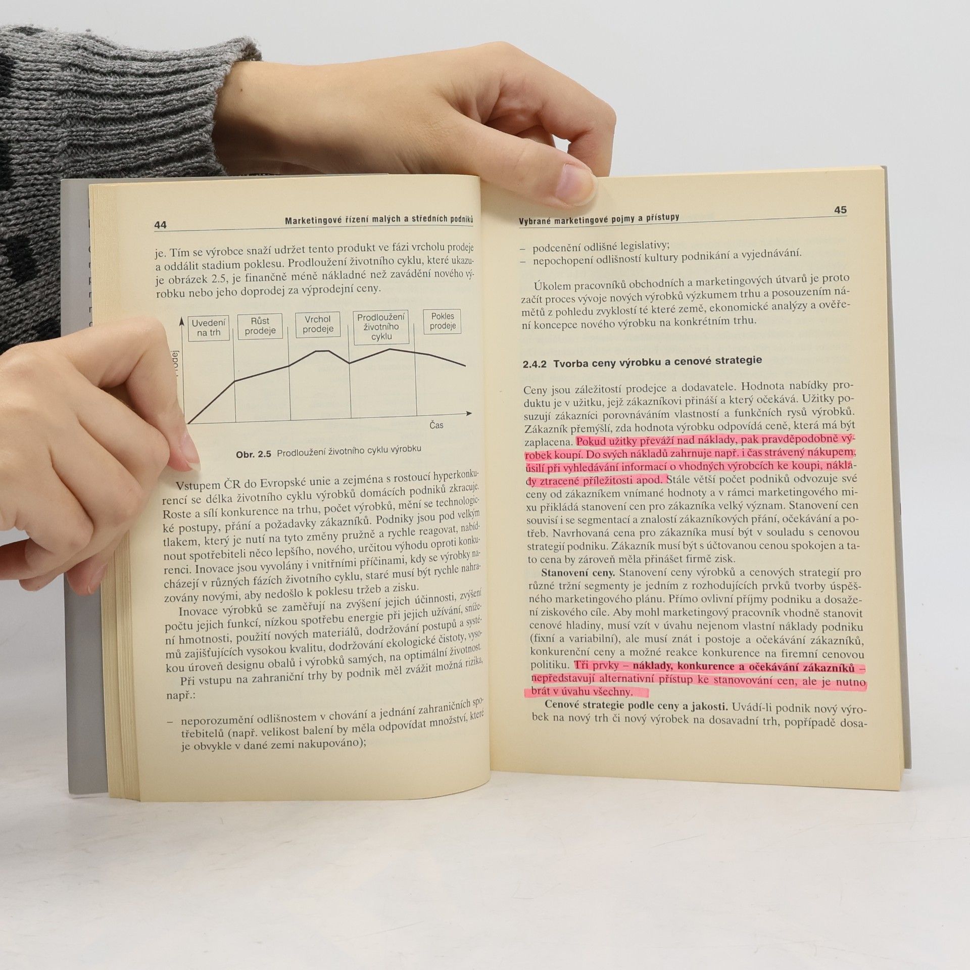 Karel Havlíček Marketingové řízení malých a středních podniků