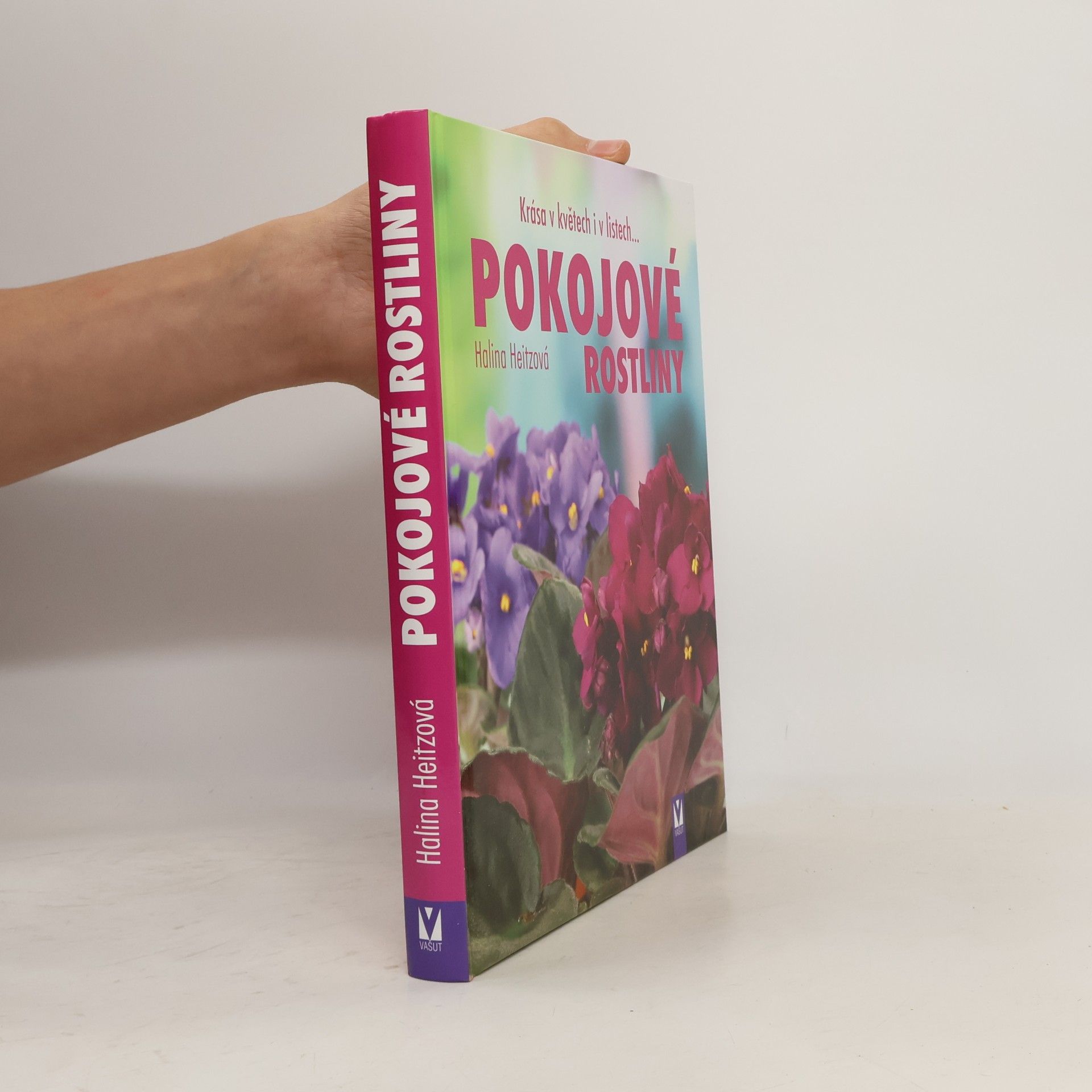 Autorenkollektiv Pokojové rostliny