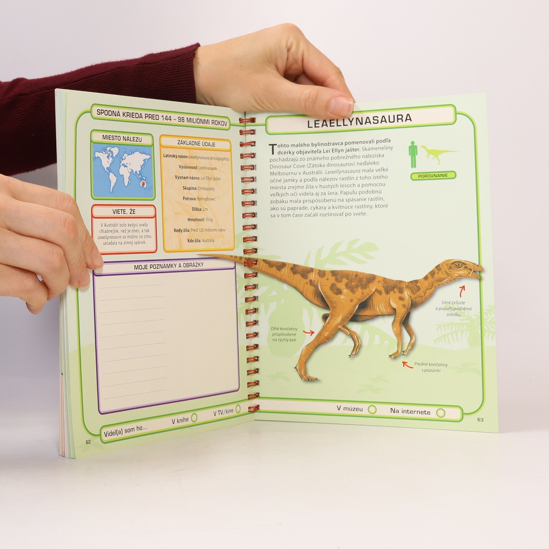 Kolektiv autorů Dinosaury